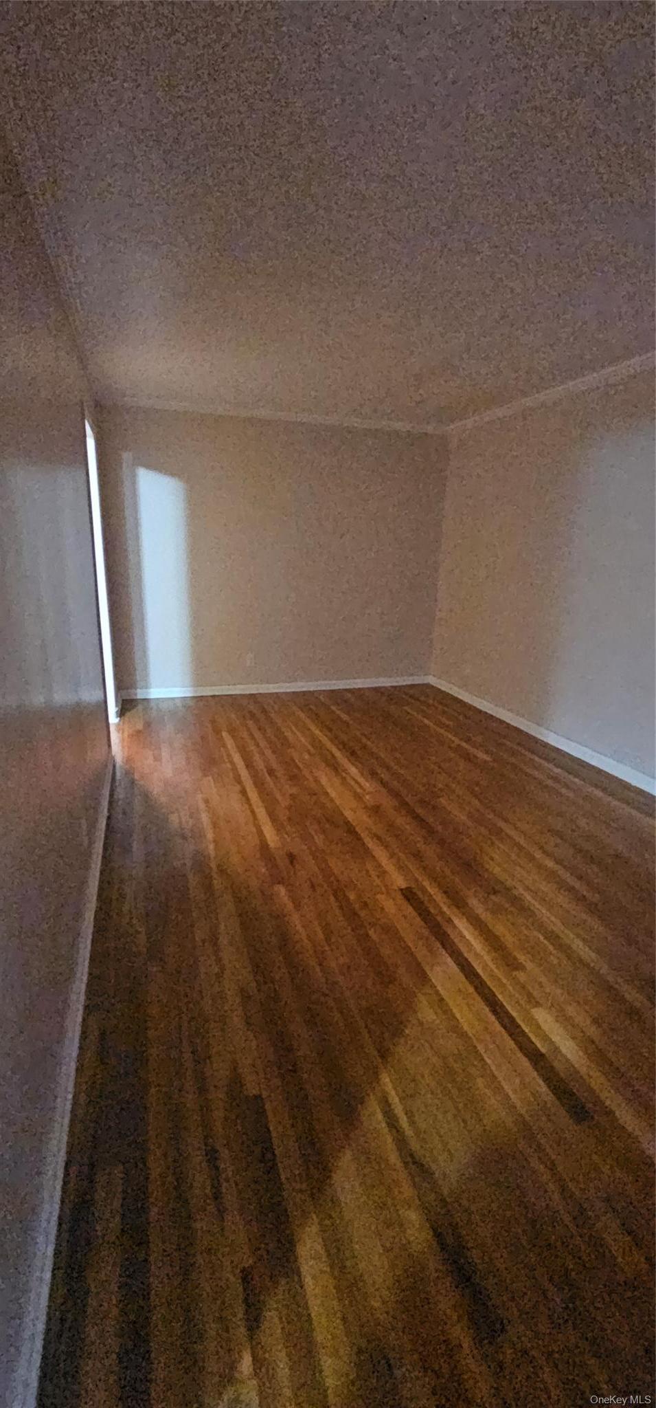 Single Family 103rd Brooklyn, NY 11236, MLS-990811-2