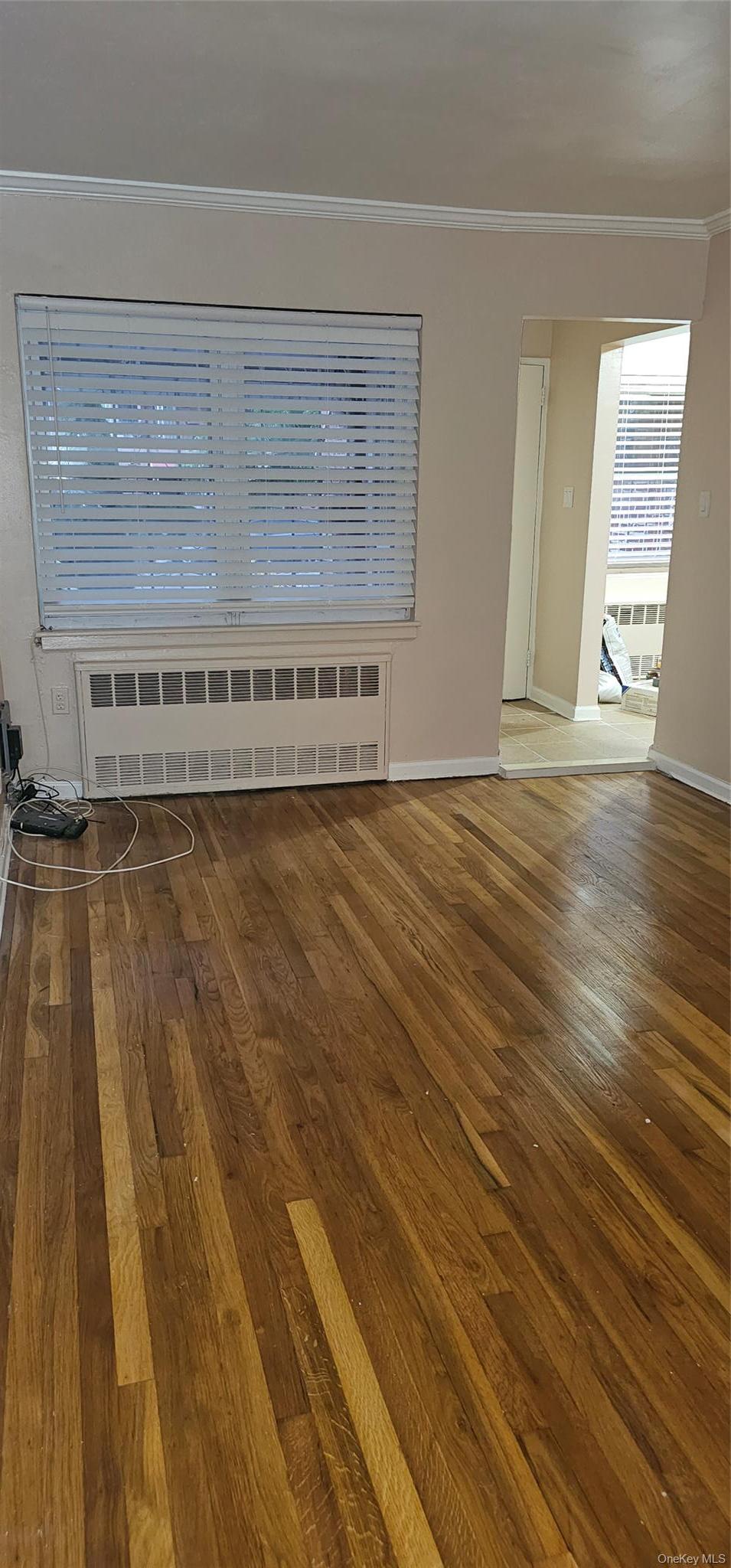 Single Family 103rd Brooklyn, NY 11236, MLS-990811-4