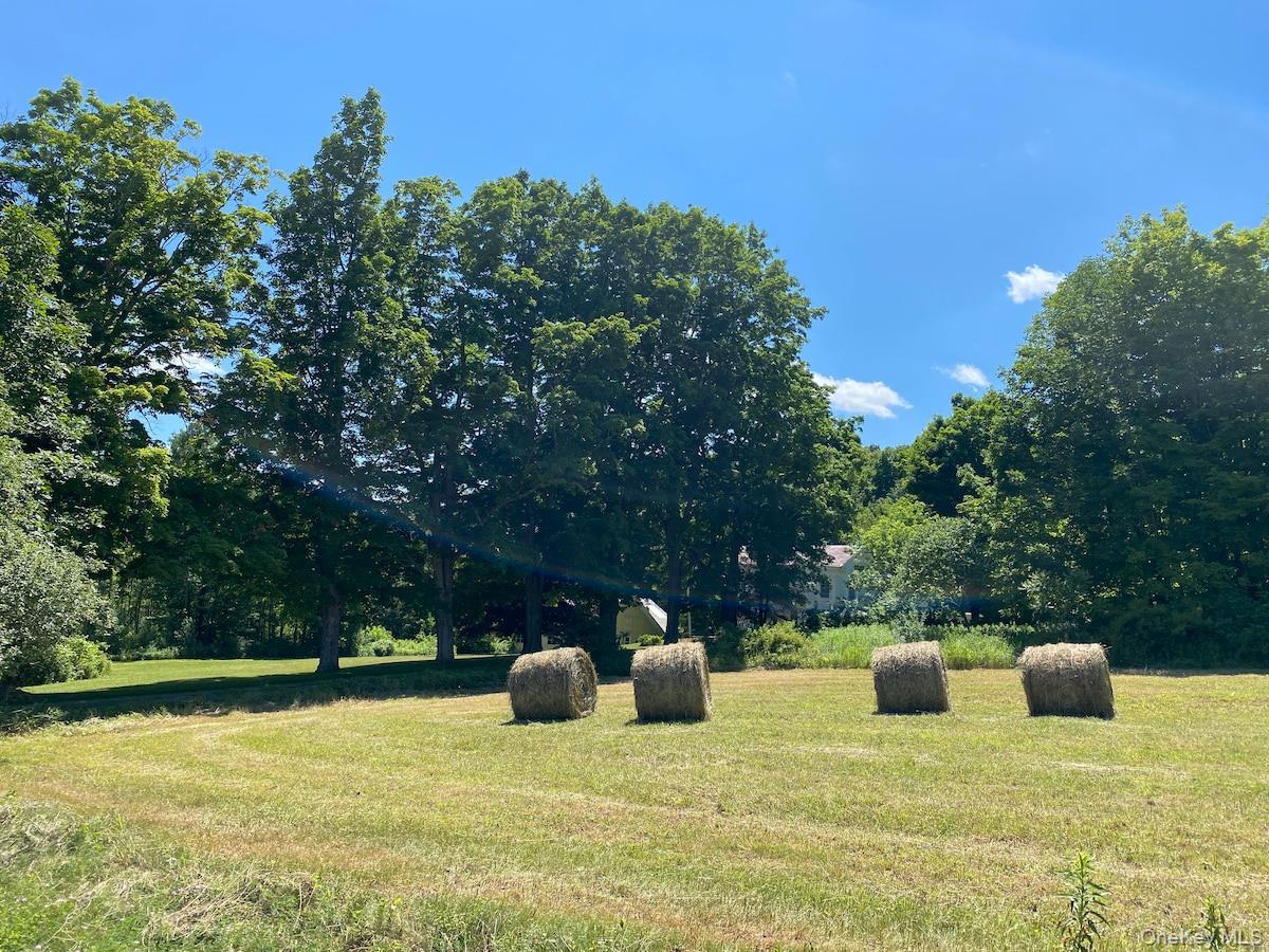 Single Family Mapletown  Out Of Area, NY 12090, MLS-990834-35
