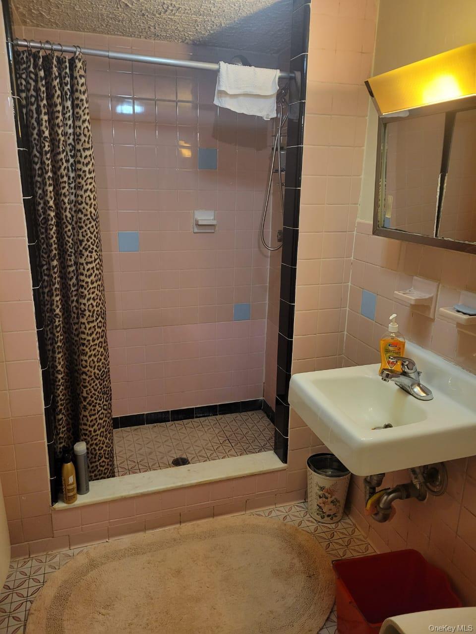Single Family 227th  Bronx, NY 10466, MLS-990943-15