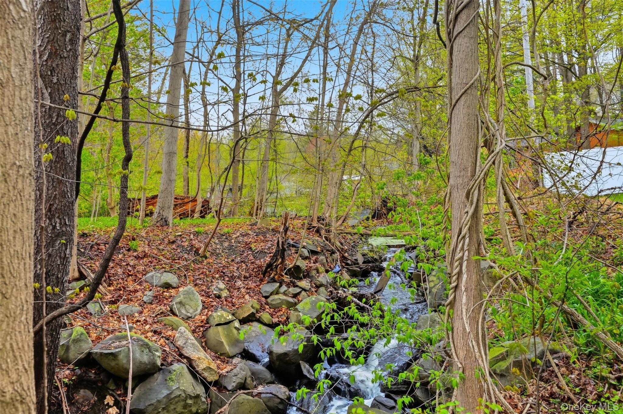 Single Family S Ohioville Road Ulster County, NY 12561, MLS-991033-29