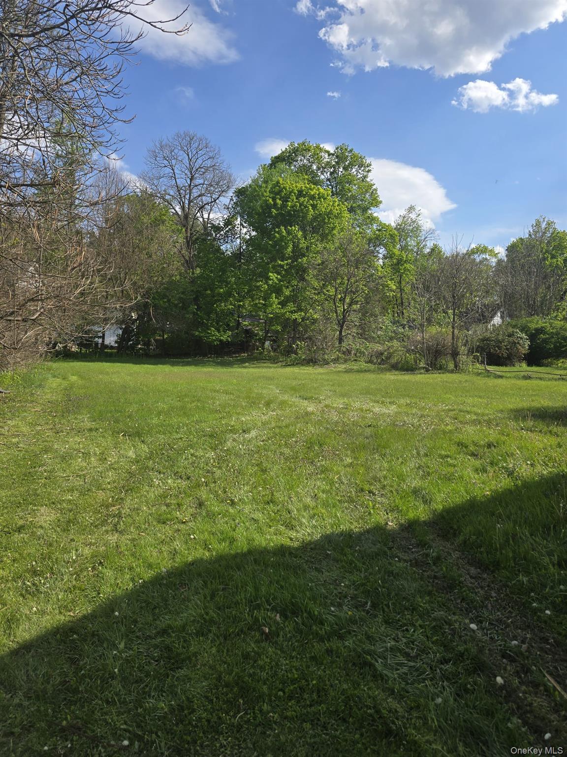 Single Family Broadhead Ulster County, NY 12428, MLS-991076-22