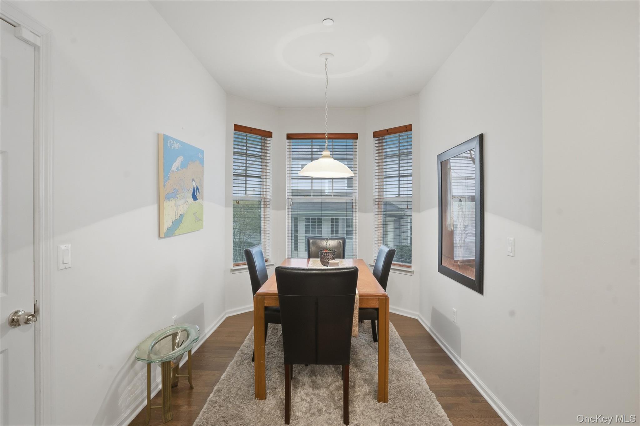 Single Family Hudson Pointe Drive Dutchess County, NY 12601, MLS-991162-11