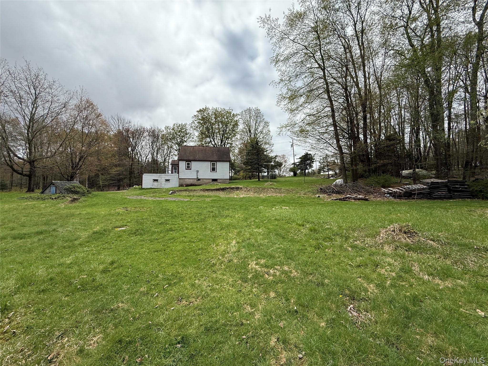 Single Family Southwoods  Sullivan County, NY 12701, MLS-991200-16