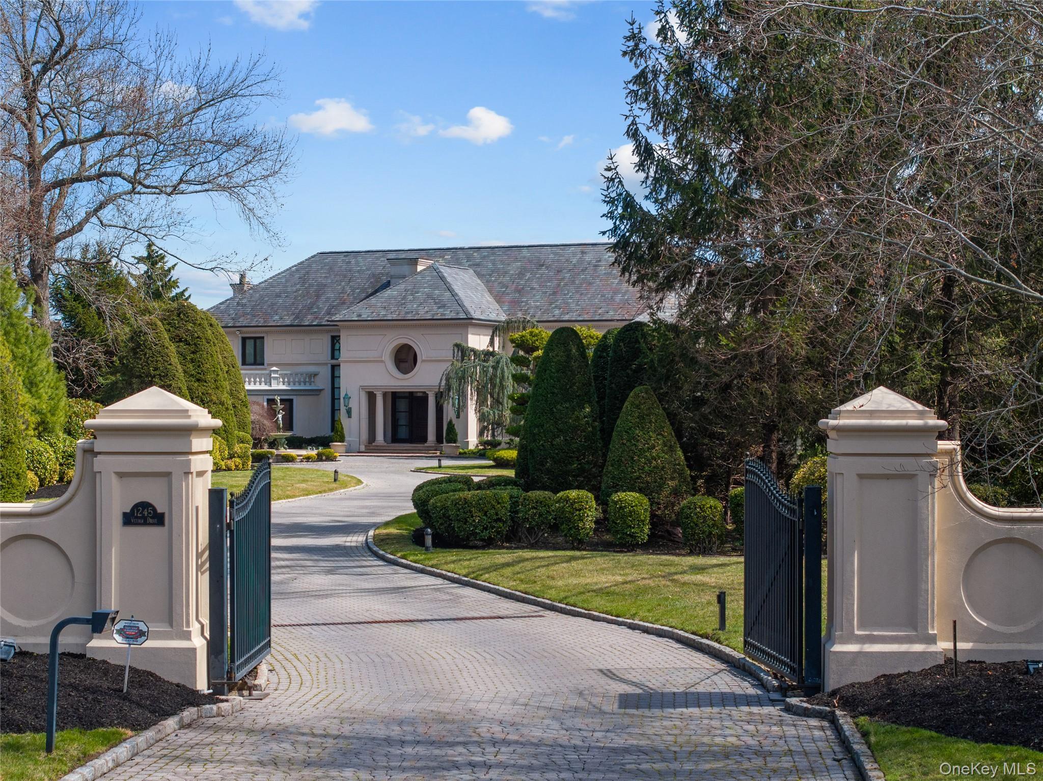 Single Family Veeder Drive  Nassau County, NY 11557, MLS-991350-2