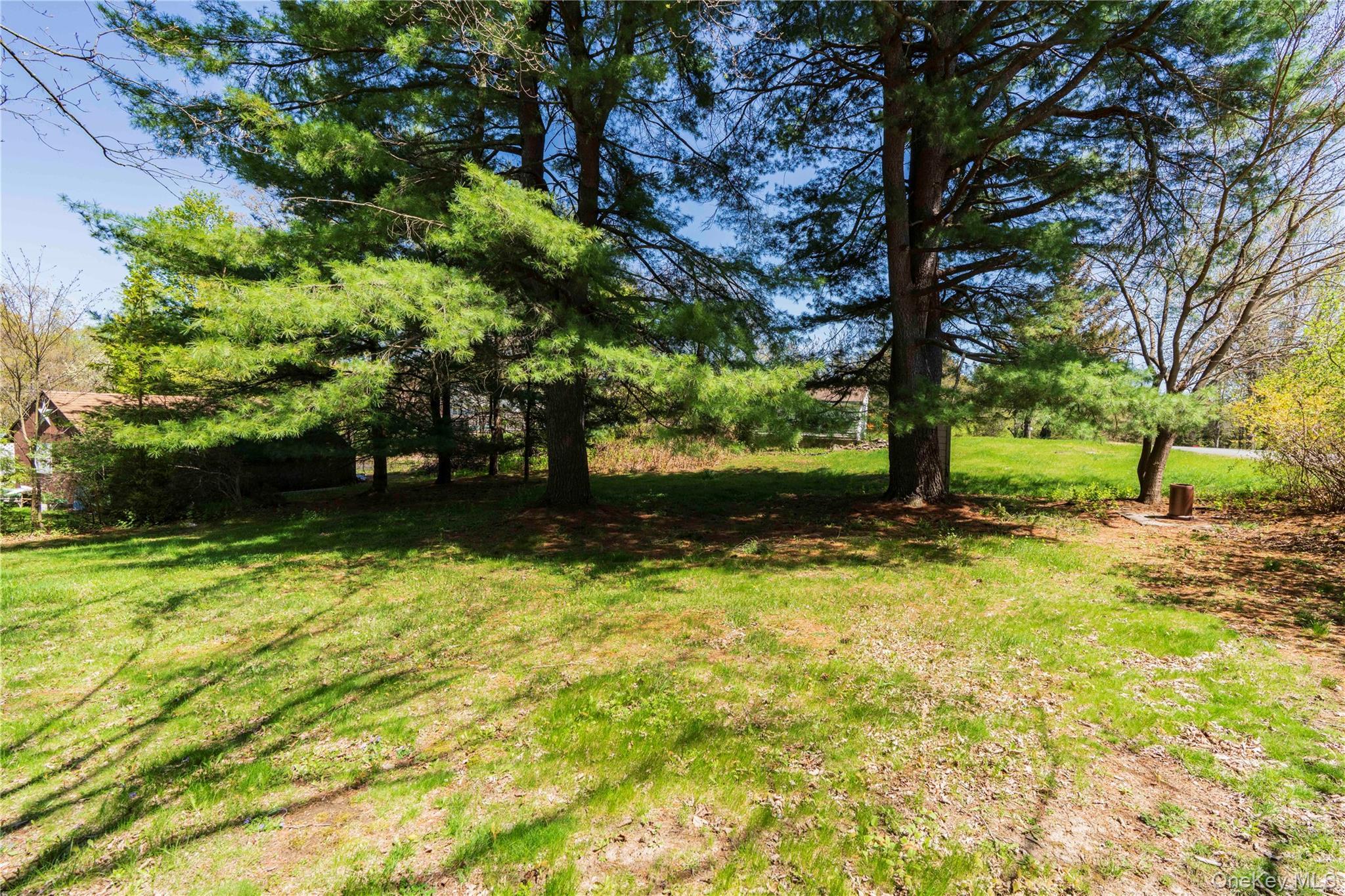 Single Family Church Avenue Columbia County, NY 12526, MLS-991355-7