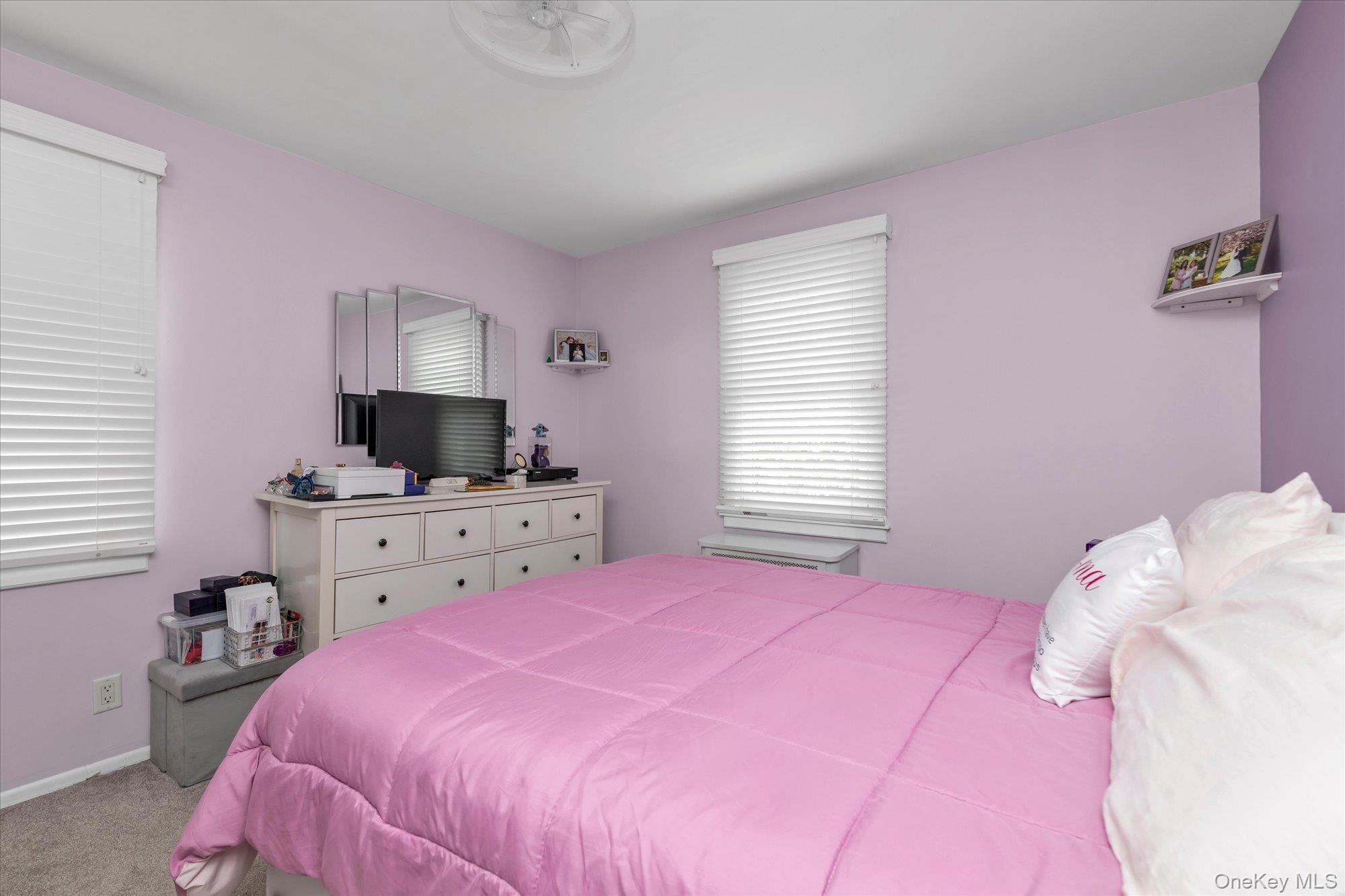 Single Family Liggett  Nassau County, NY 11581, MLS-991363-10