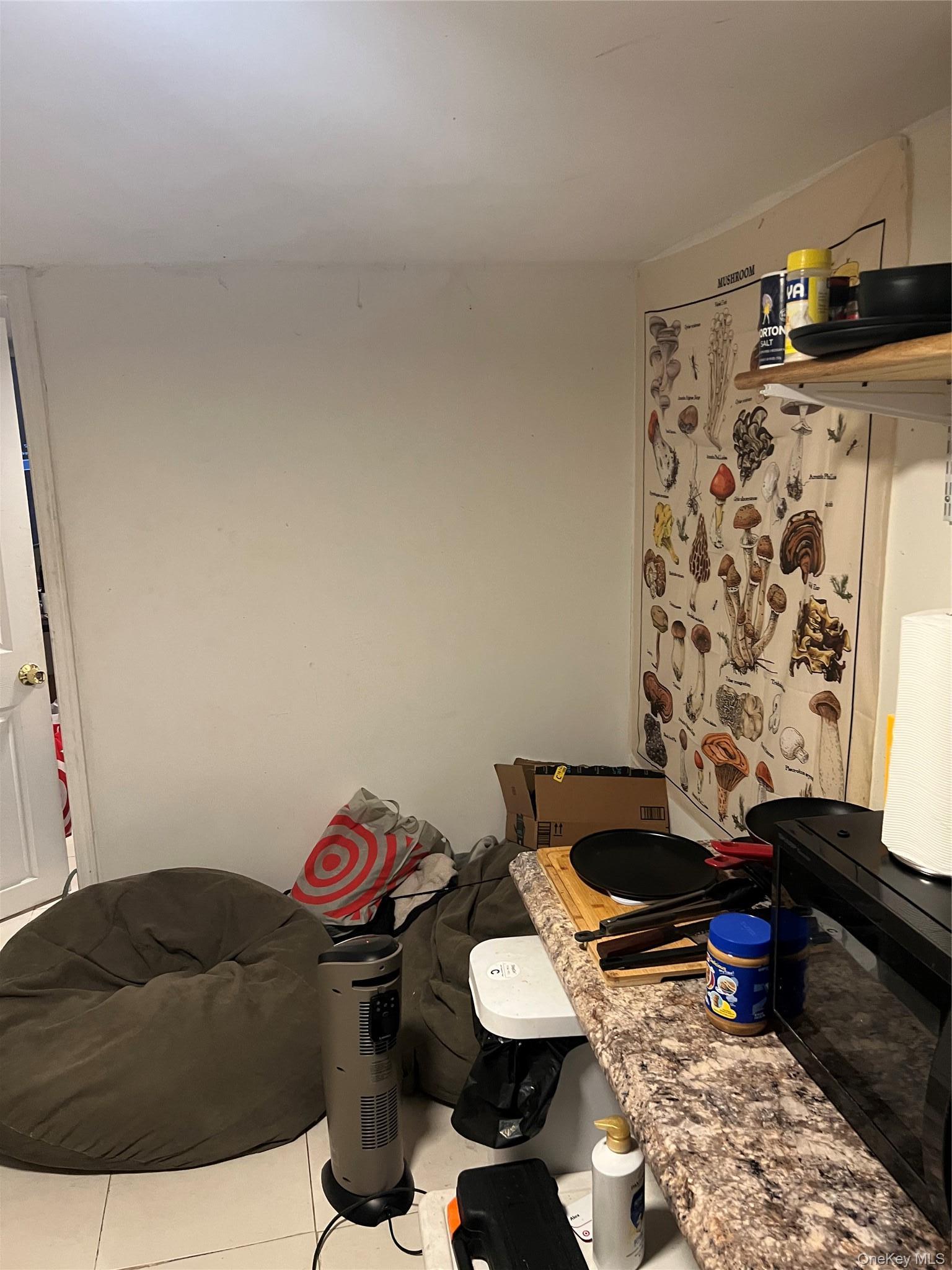 Single Family 32nd Avenue  Queens, NY 11369, MLS-991400-18