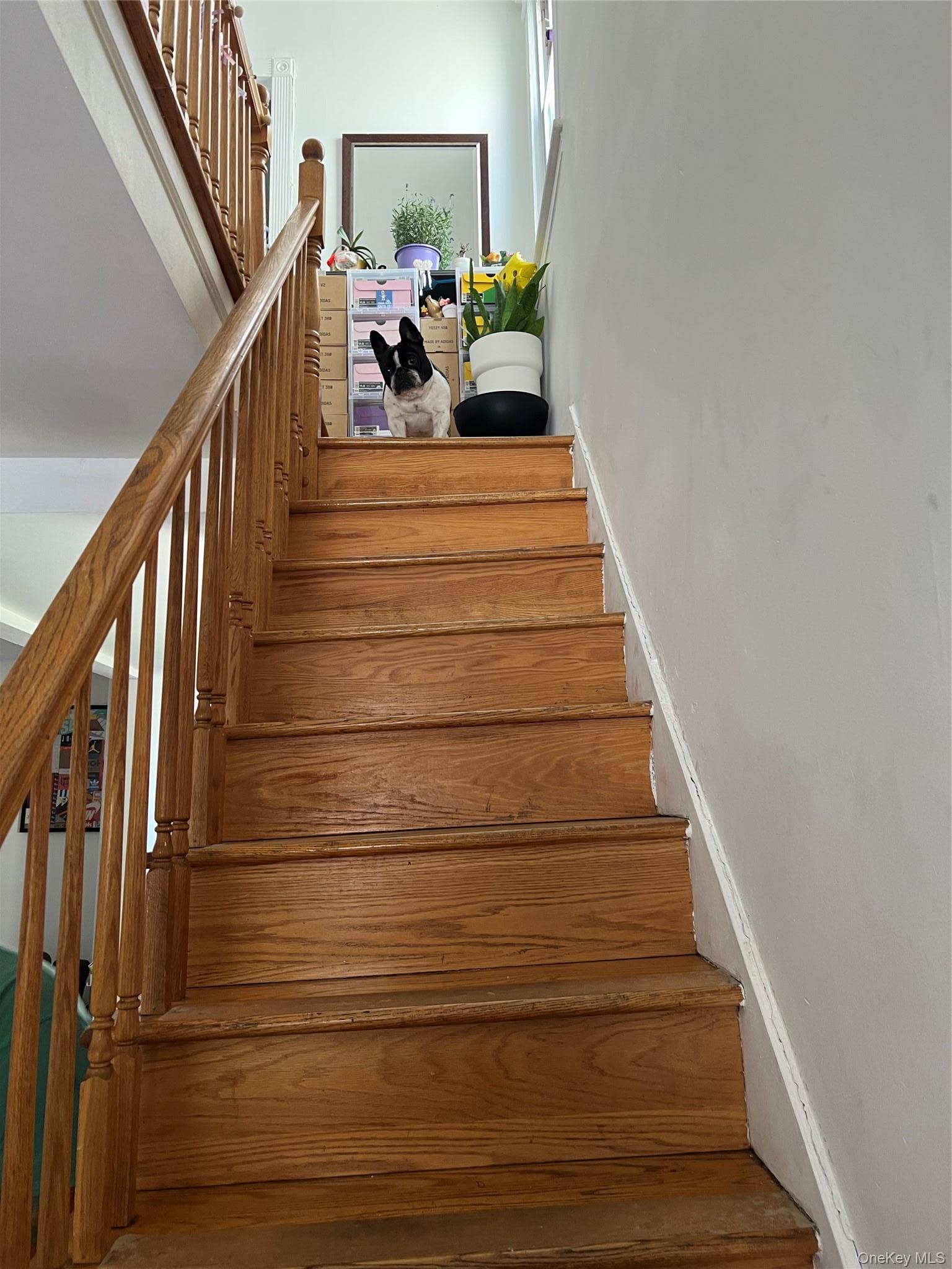 Single Family 32nd Avenue  Queens, NY 11369, MLS-991400-24