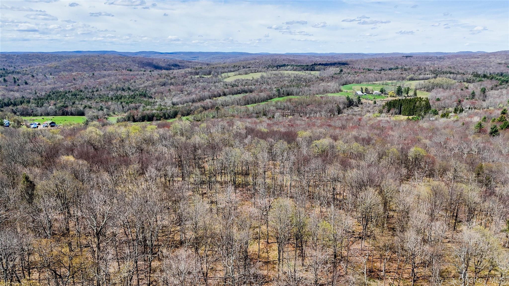 Single Family County  Sullivan County, NY 12736, MLS-991417-3