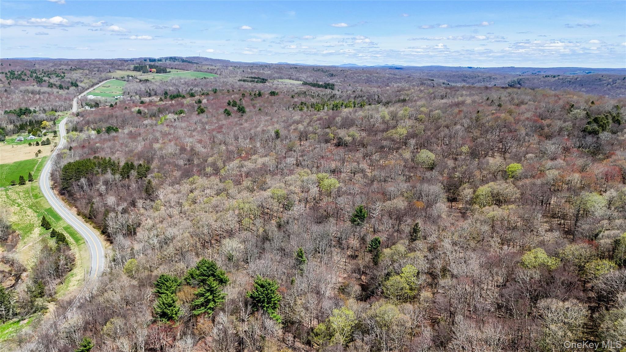 Single Family County  Sullivan County, NY 12736, MLS-991417-32