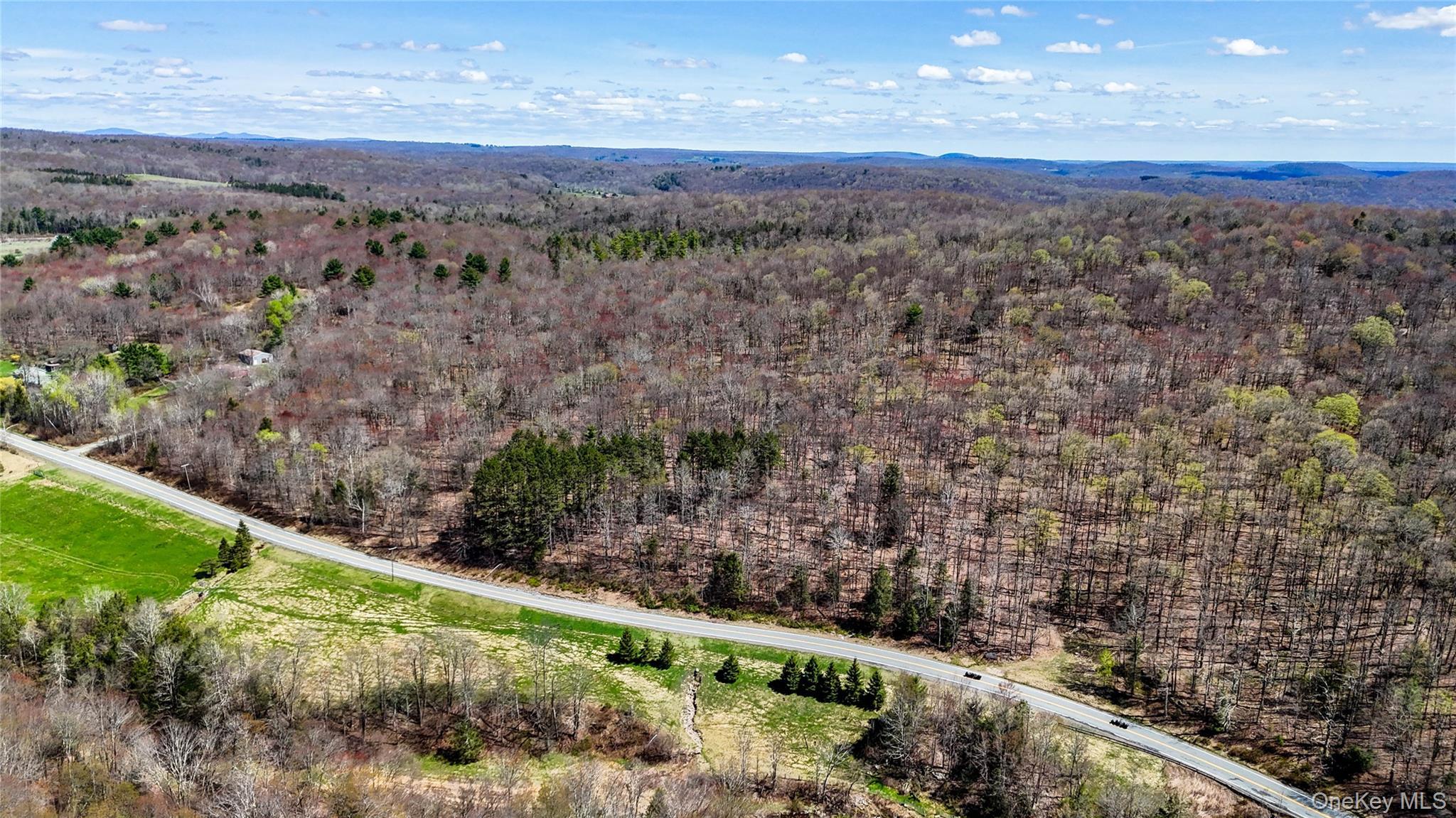 Single Family County  Sullivan County, NY 12736, MLS-991417-6