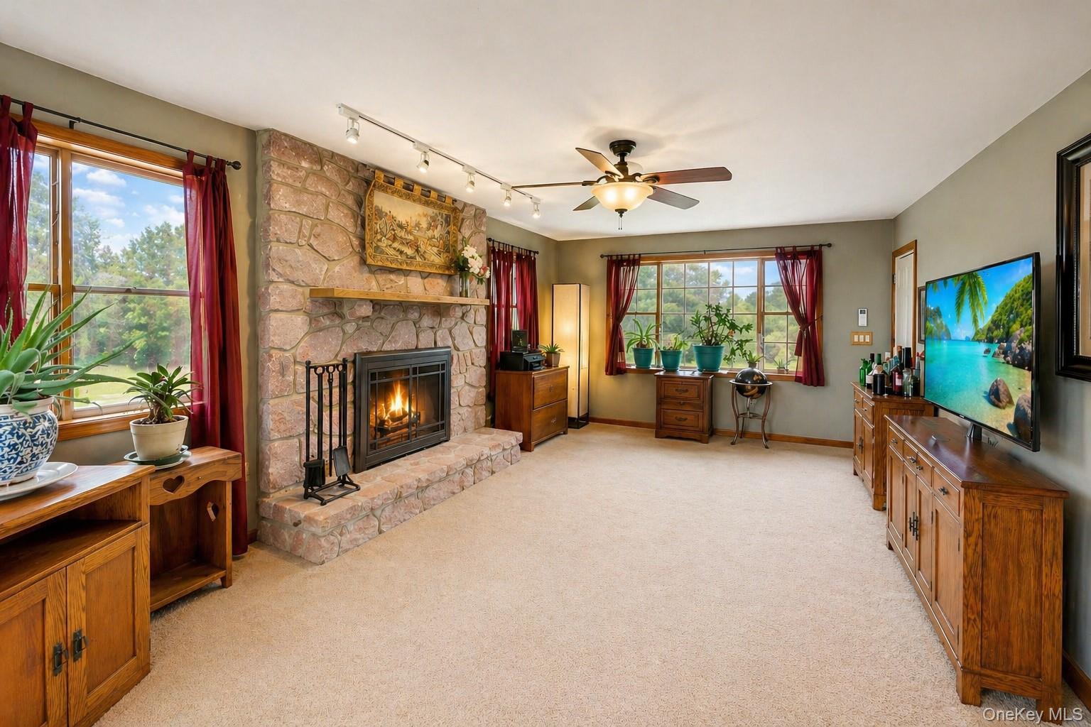Single Family State Route 52 Orange County, NY 12566, MLS-991427-8