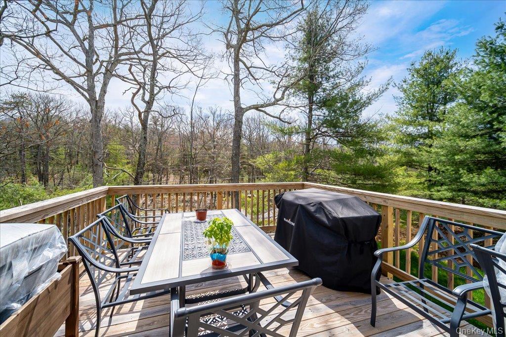 Single Family Picadilly Circle Sullivan County, NY 12775, MLS-991436-42