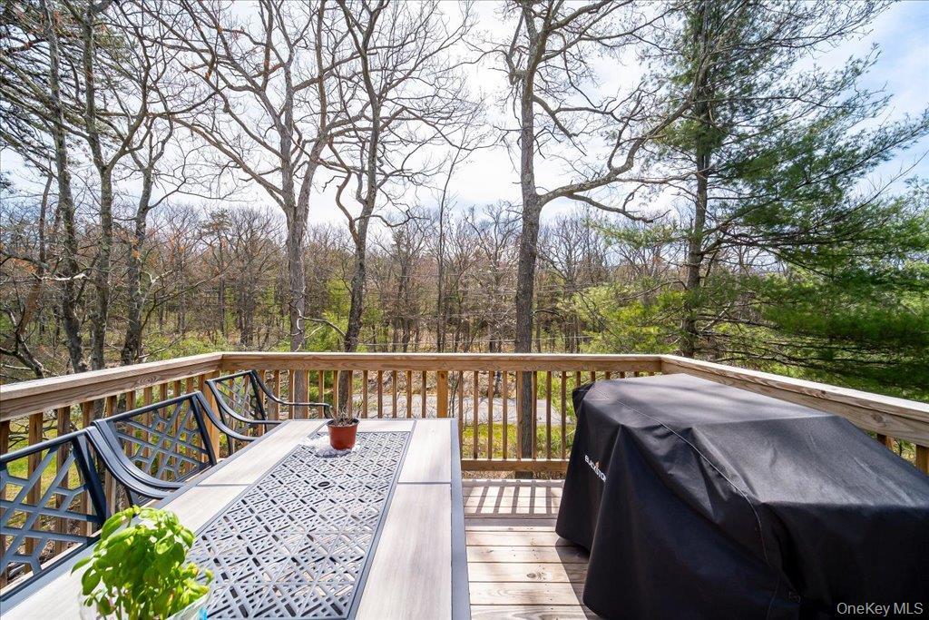 Single Family Picadilly Circle Sullivan County, NY 12775, MLS-991436-43