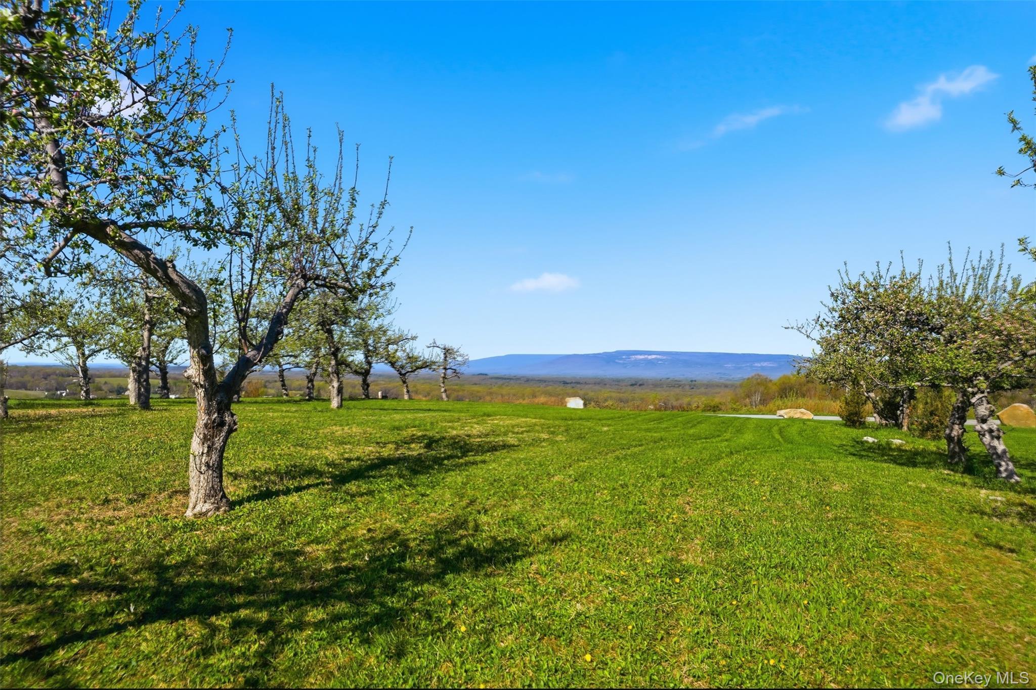 Single Family Palazzo Lane  Ulster County, NY 12528, MLS-991440-47