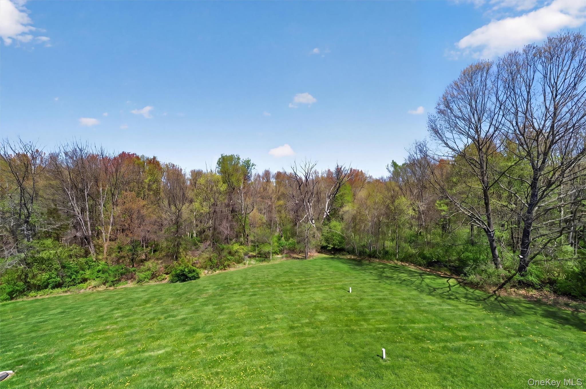 Single Family Primrose Lane  Orange County, NY 10918, MLS-991517-33