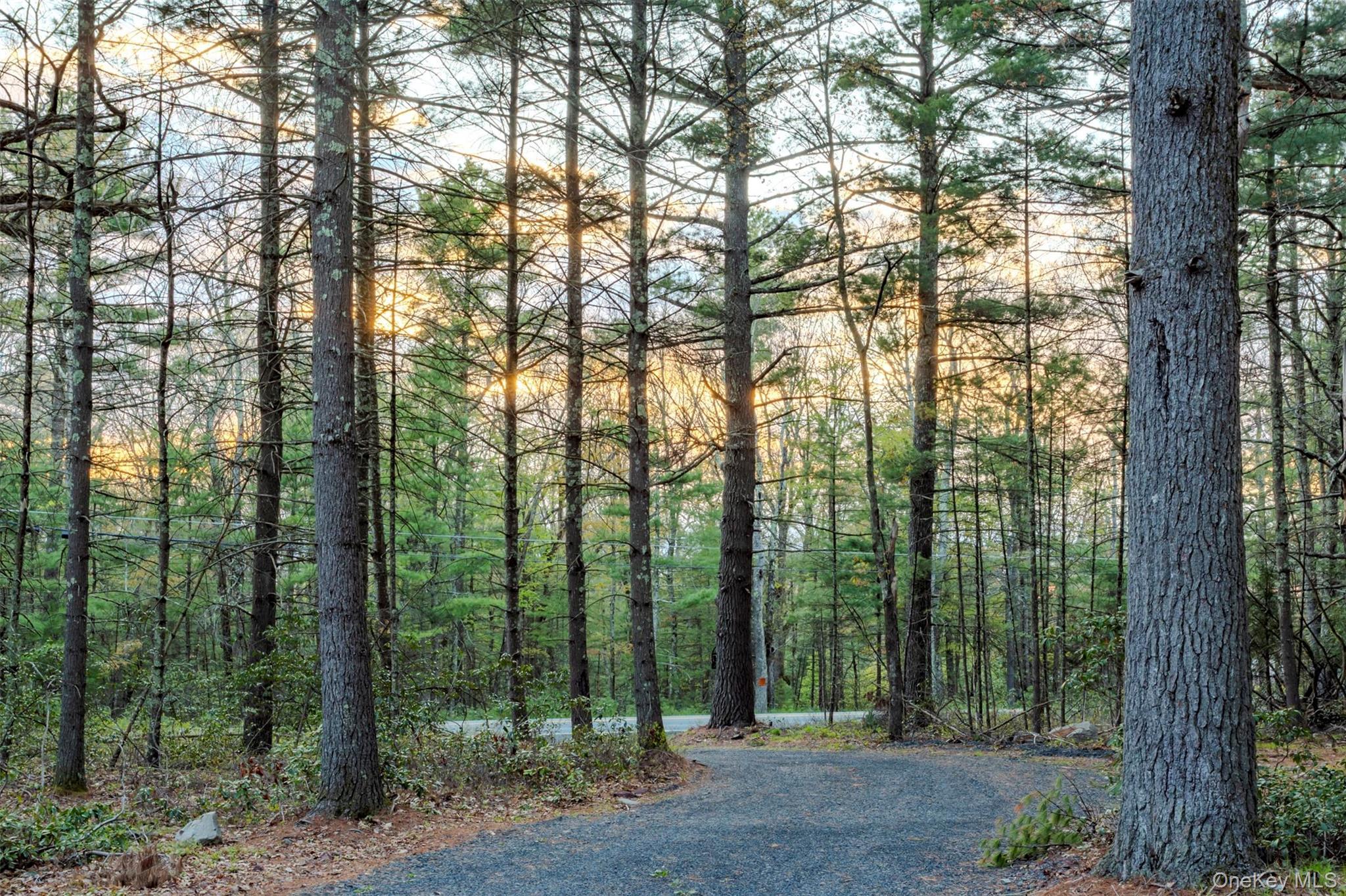 Single Family Forestburgh Road  Sullivan County, NY 12737, MLS-991518-25