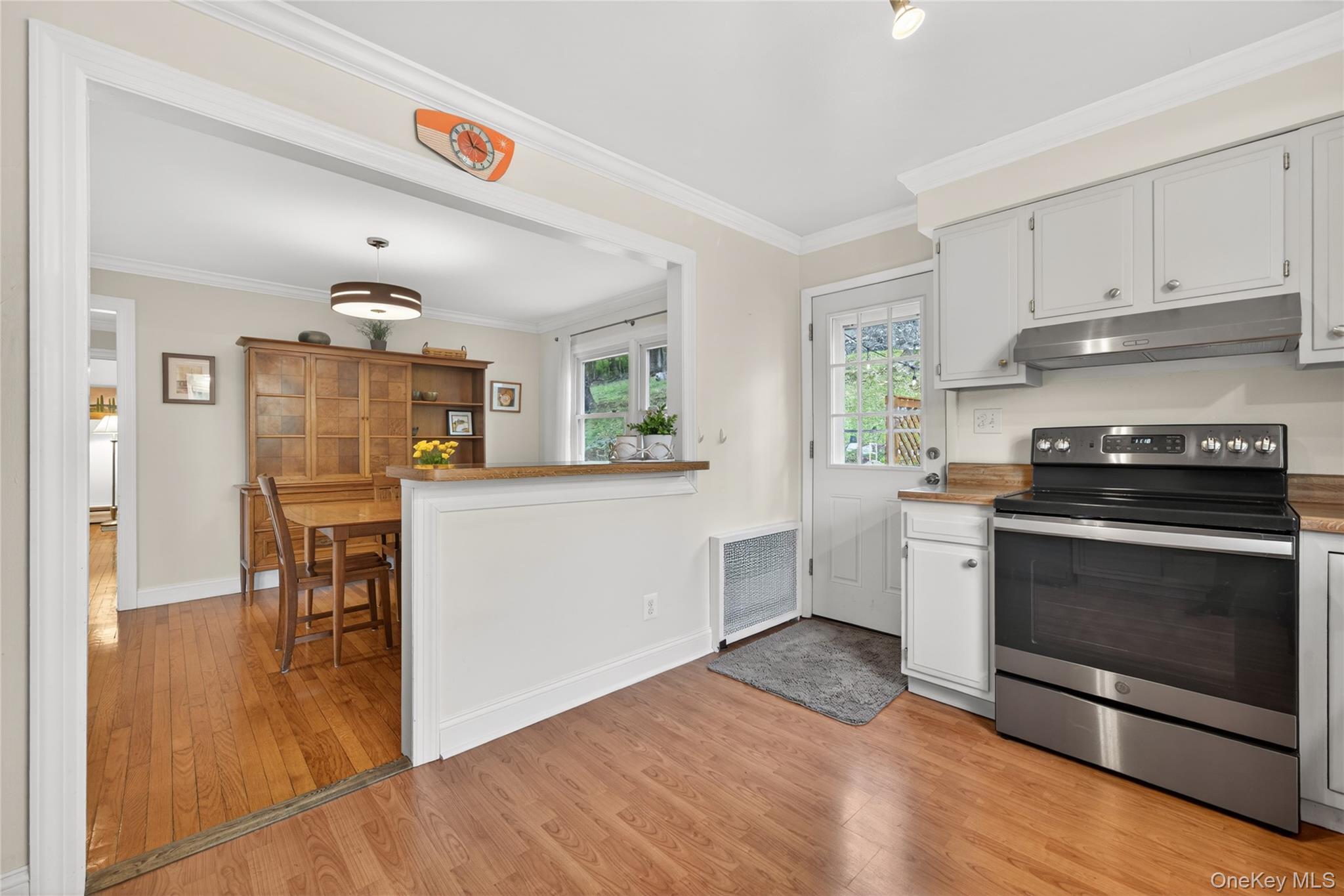 Single Family Oakland Avenue Orange County, NY 10950, MLS-991537-9