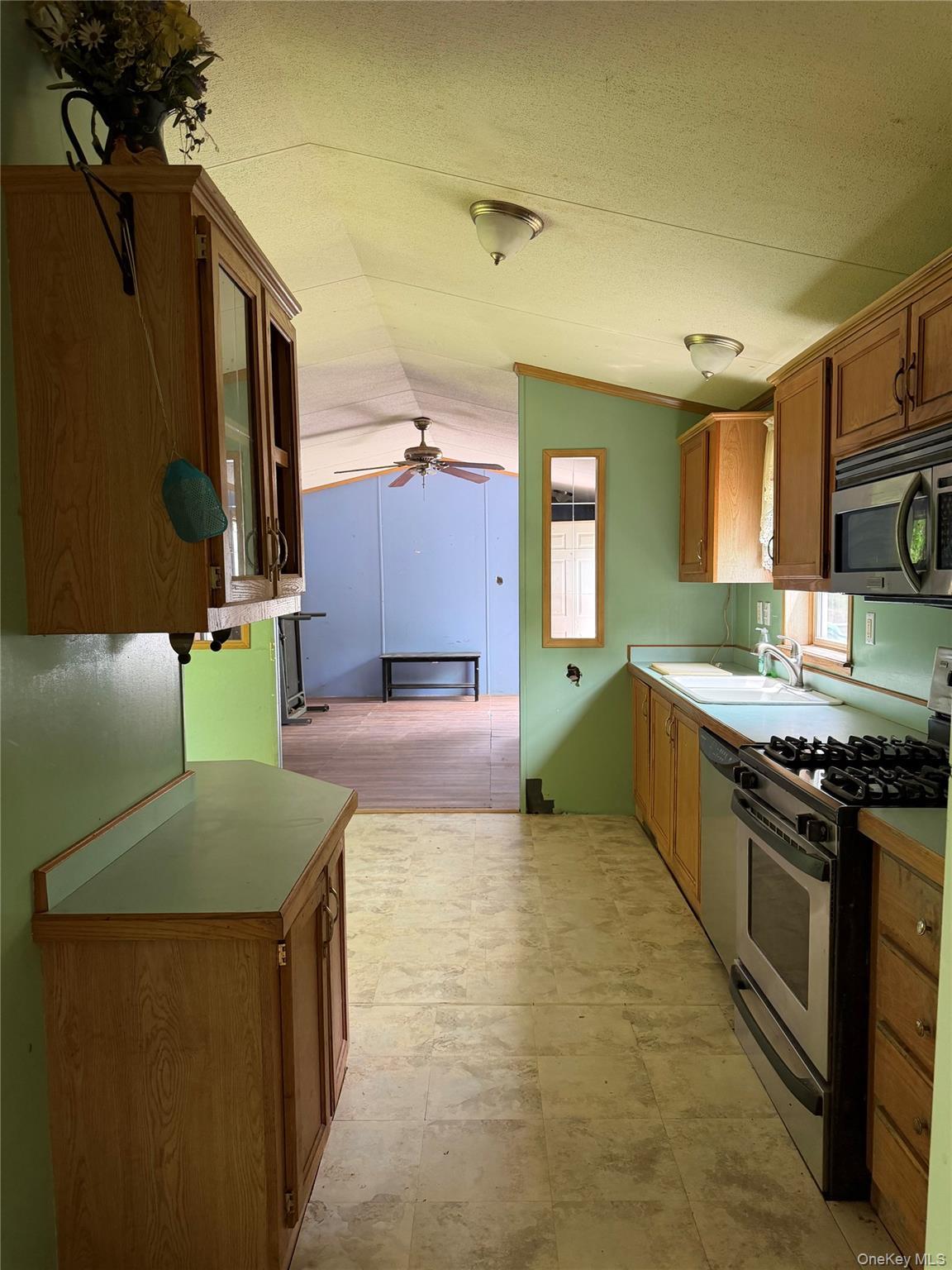 Single Family Hoffmann Street Sullivan County, NY 12741, MLS-991587-13