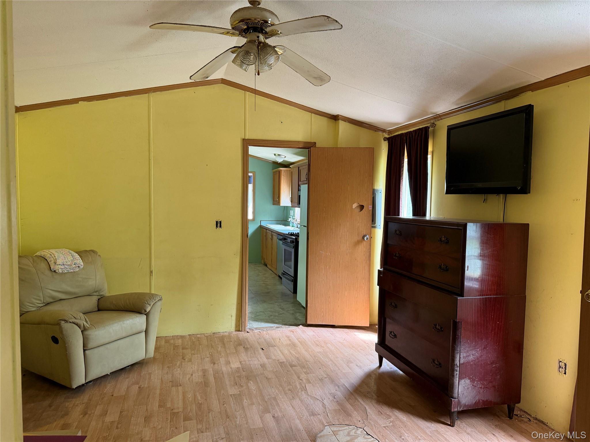 Single Family Hoffmann Street Sullivan County, NY 12741, MLS-991587-15