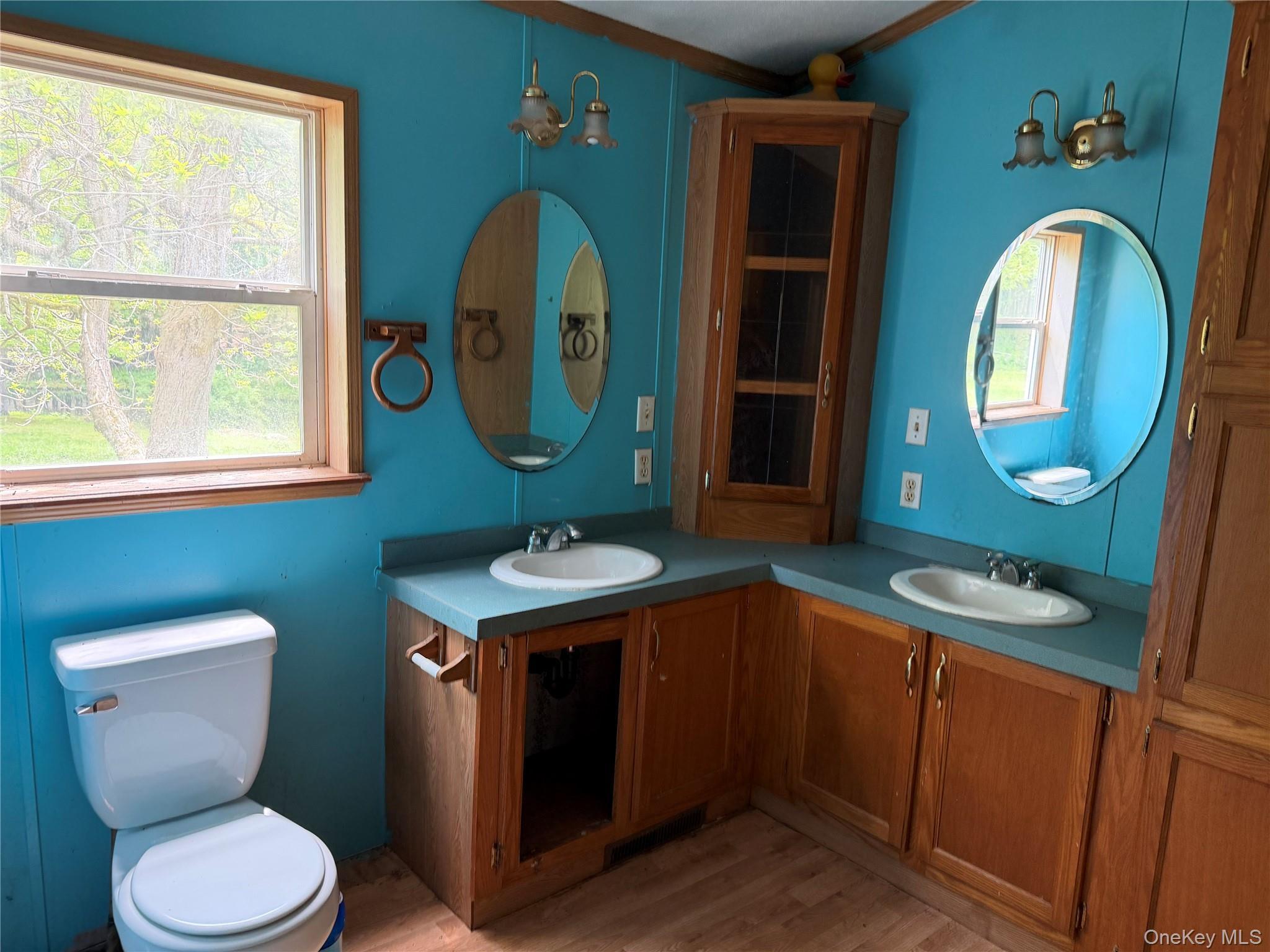Single Family Hoffmann Street Sullivan County, NY 12741, MLS-991587-17