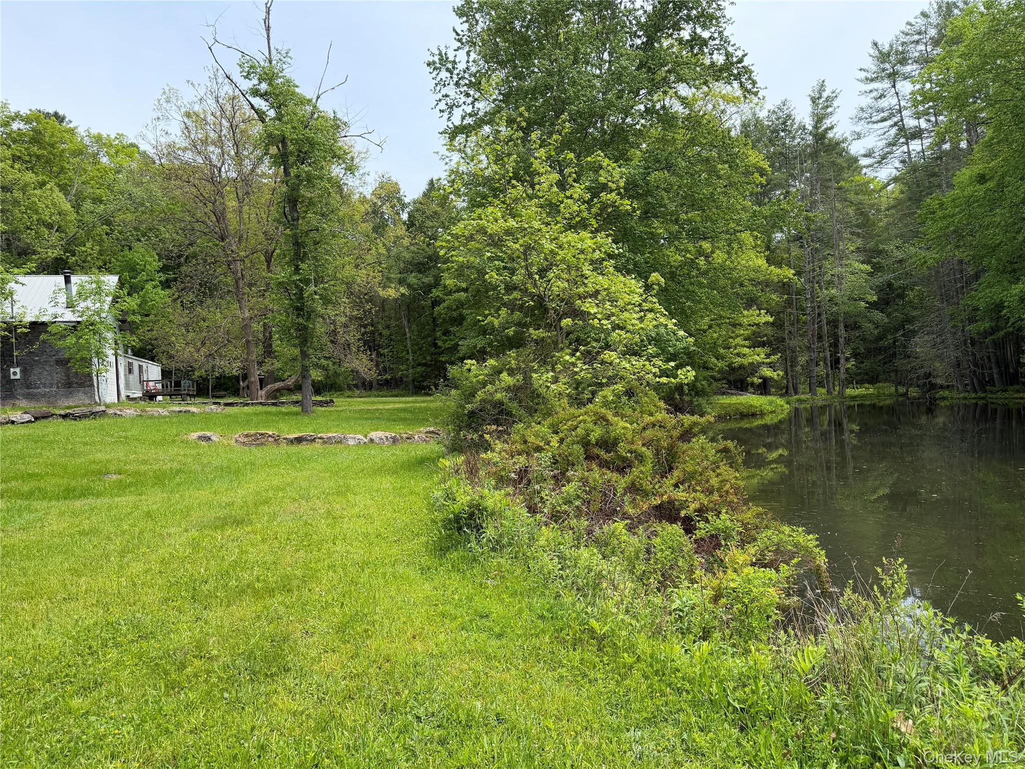 Single Family Hoffmann Street Sullivan County, NY 12741, MLS-991587-19
