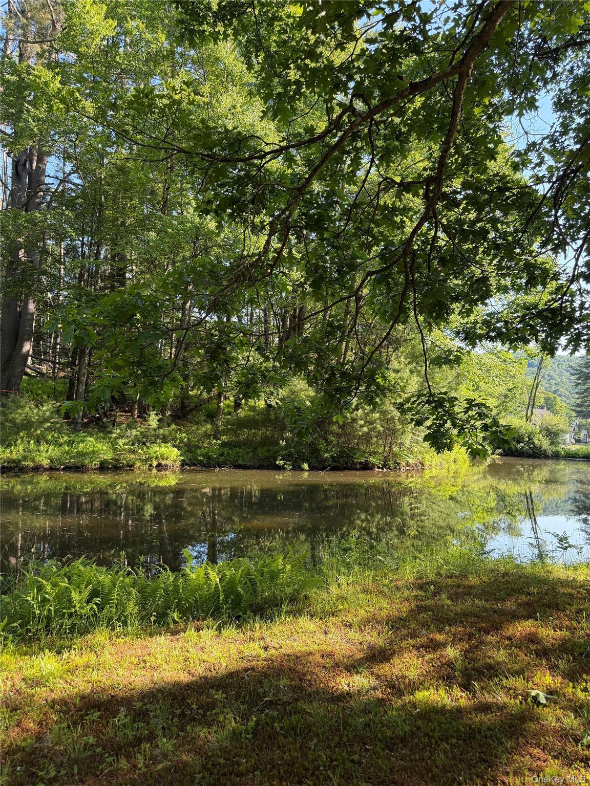 Single Family Hoffmann Street Sullivan County, NY 12741, MLS-991587-2