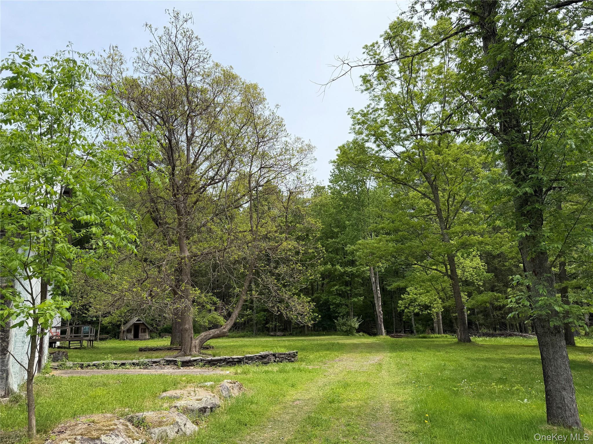 Single Family Hoffmann Street Sullivan County, NY 12741, MLS-991587-20