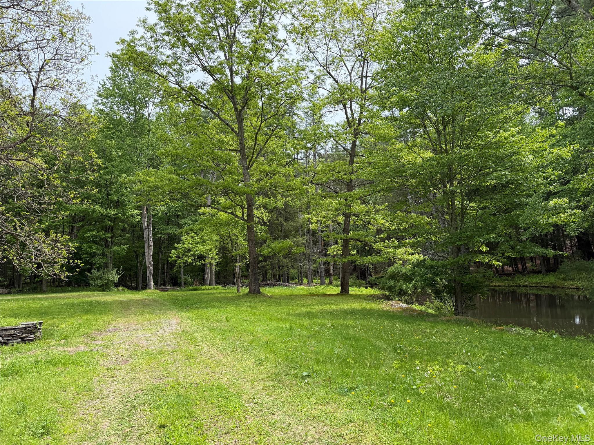 Single Family Hoffmann Street Sullivan County, NY 12741, MLS-991587-21