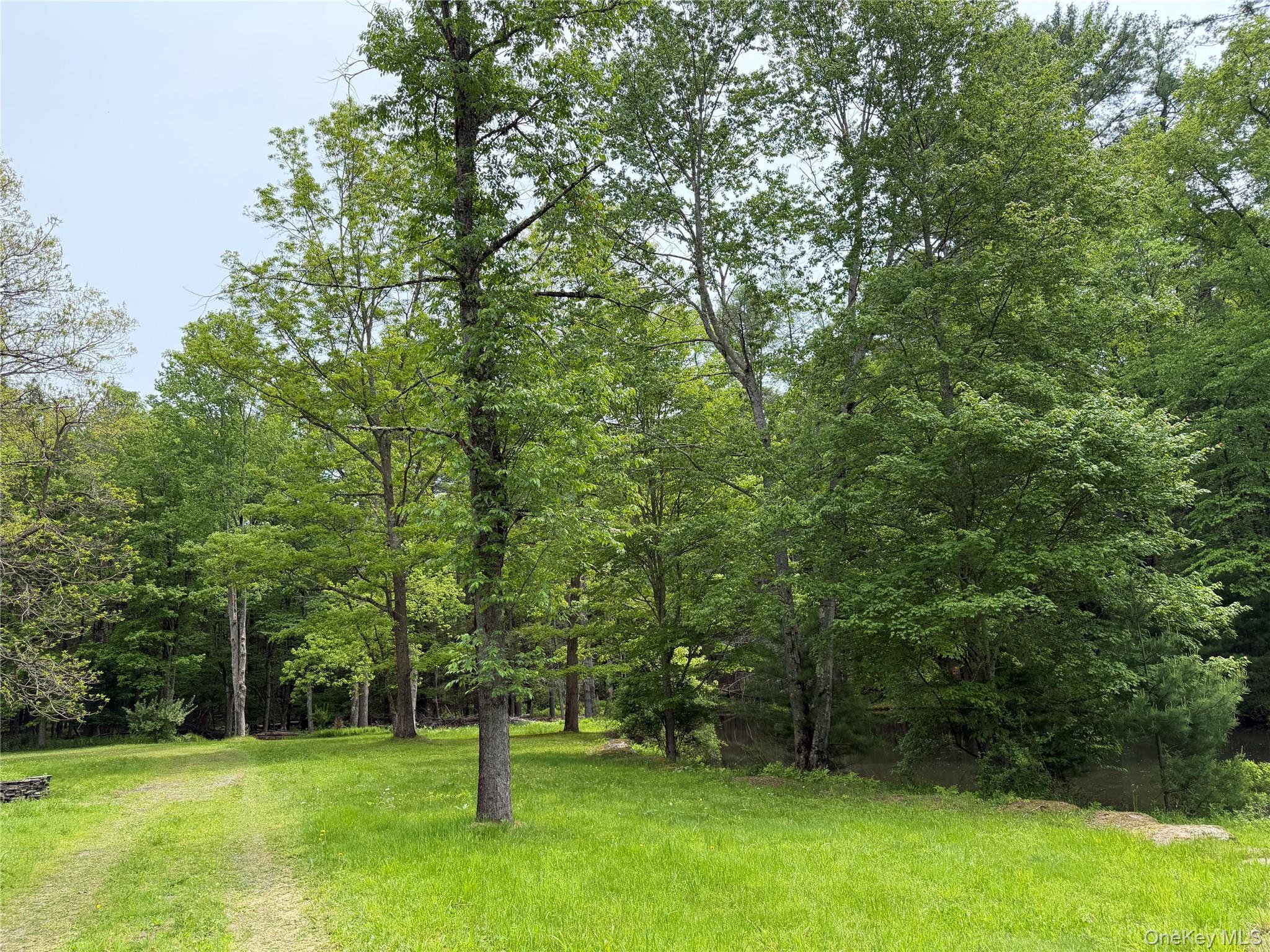 Single Family Hoffmann Street Sullivan County, NY 12741, MLS-991587-23