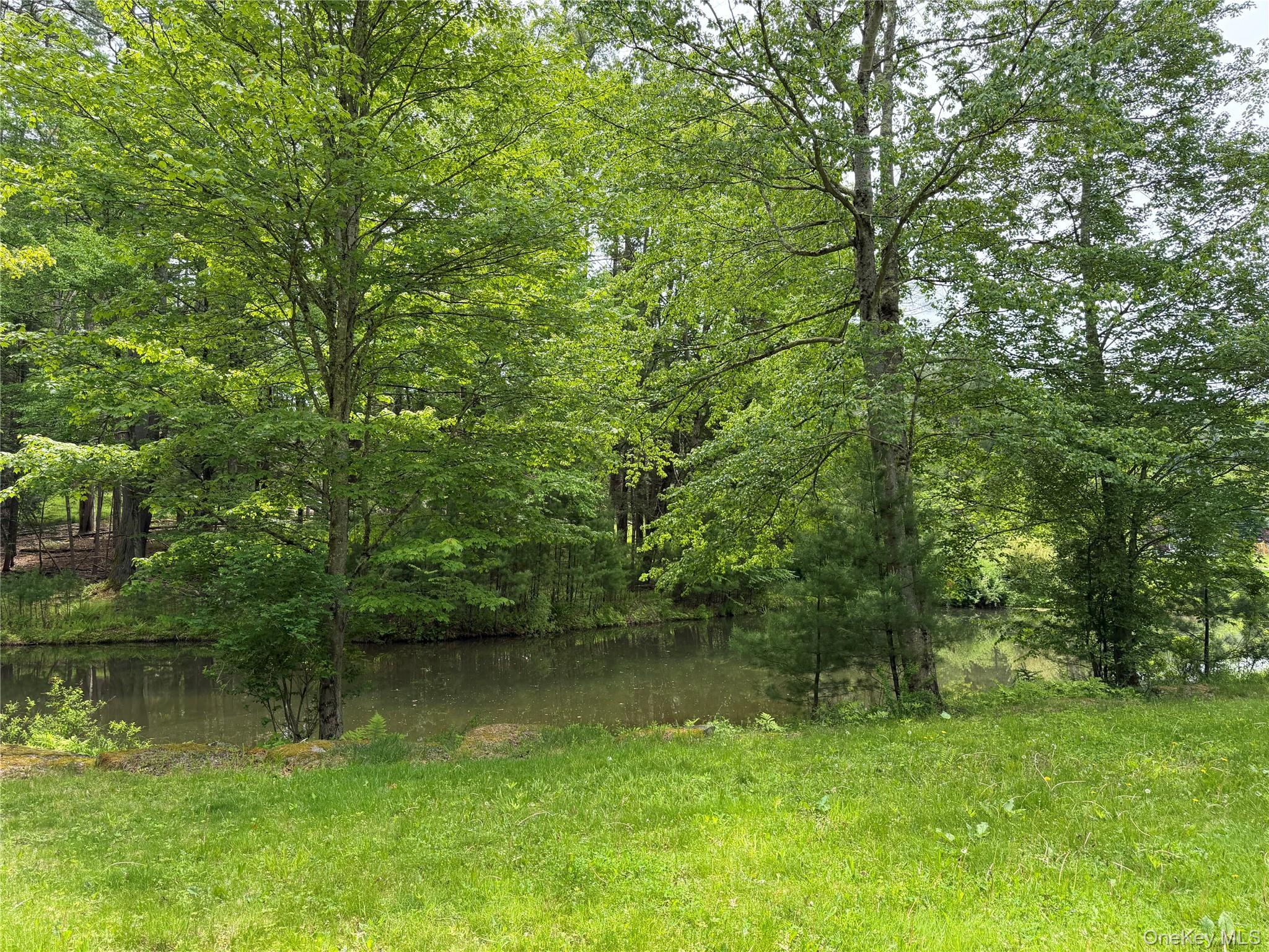 Single Family Hoffmann Street Sullivan County, NY 12741, MLS-991587-24
