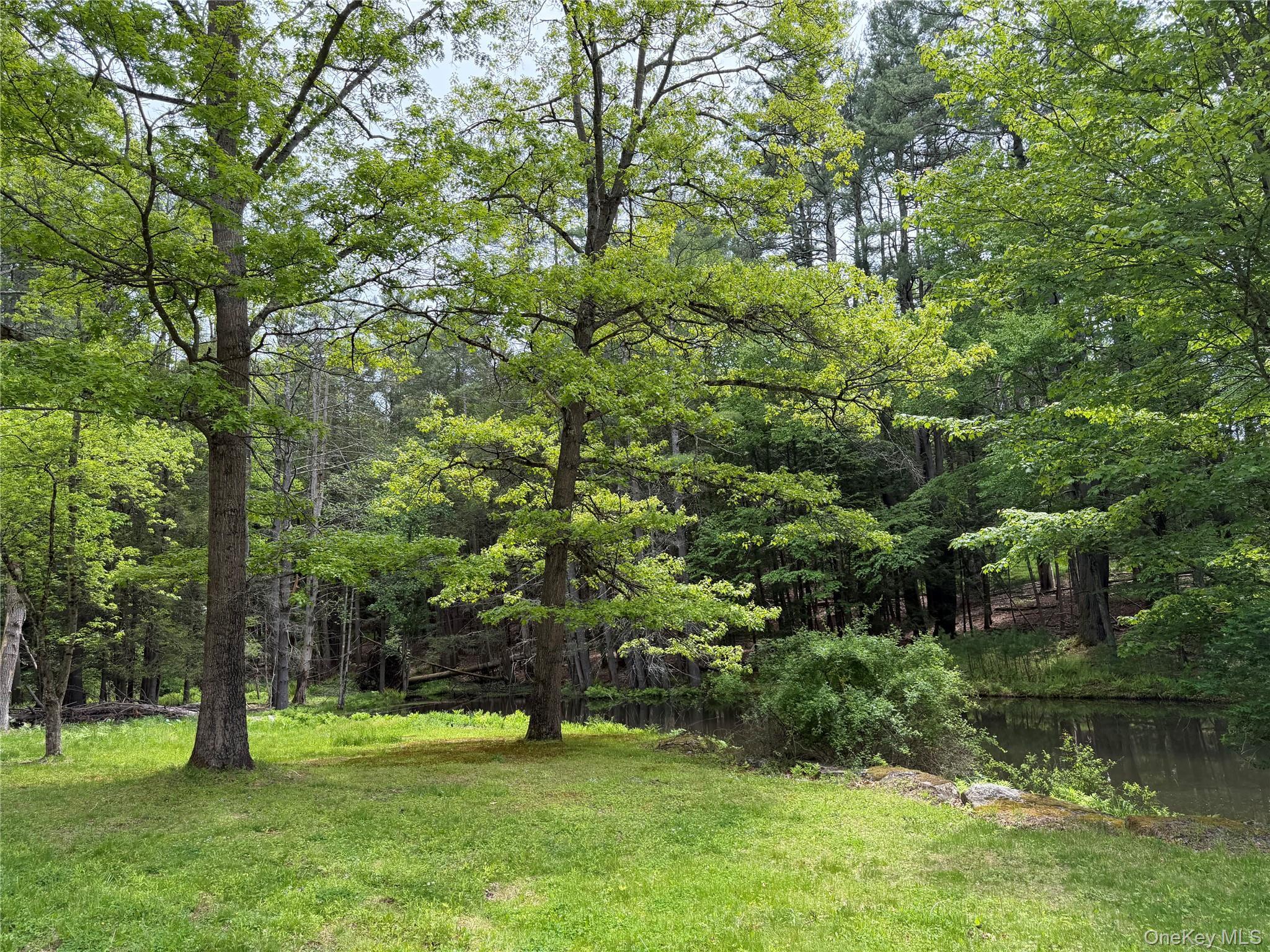 Single Family Hoffmann Street Sullivan County, NY 12741, MLS-991587-25