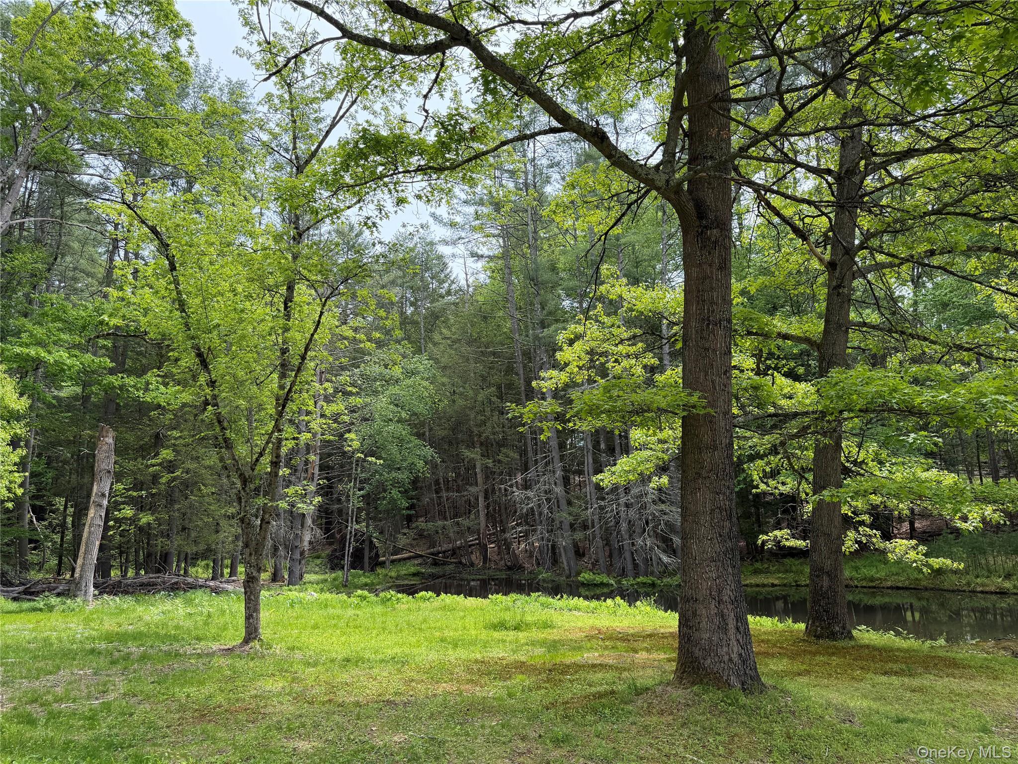 Single Family Hoffmann Street Sullivan County, NY 12741, MLS-991587-26