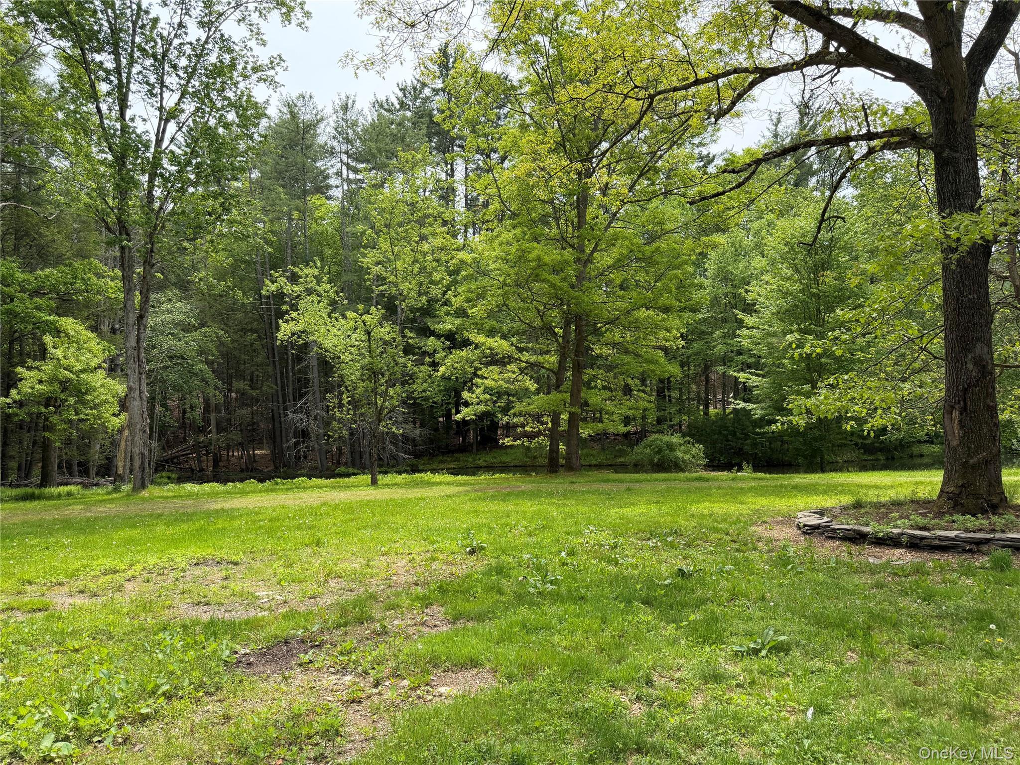 Single Family Hoffmann Street Sullivan County, NY 12741, MLS-991587-28