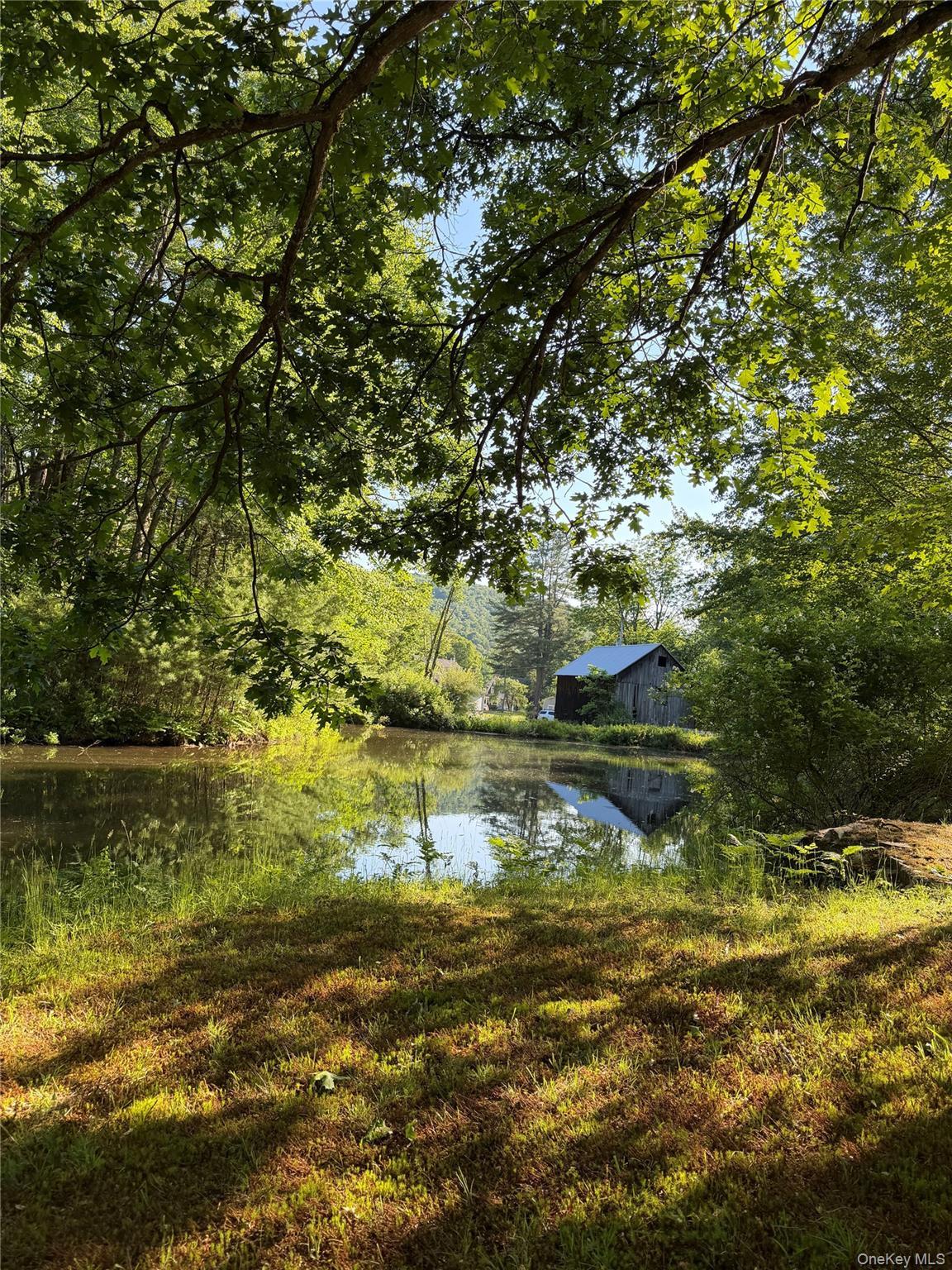 Single Family Hoffmann Street Sullivan County, NY 12741, MLS-991587-3
