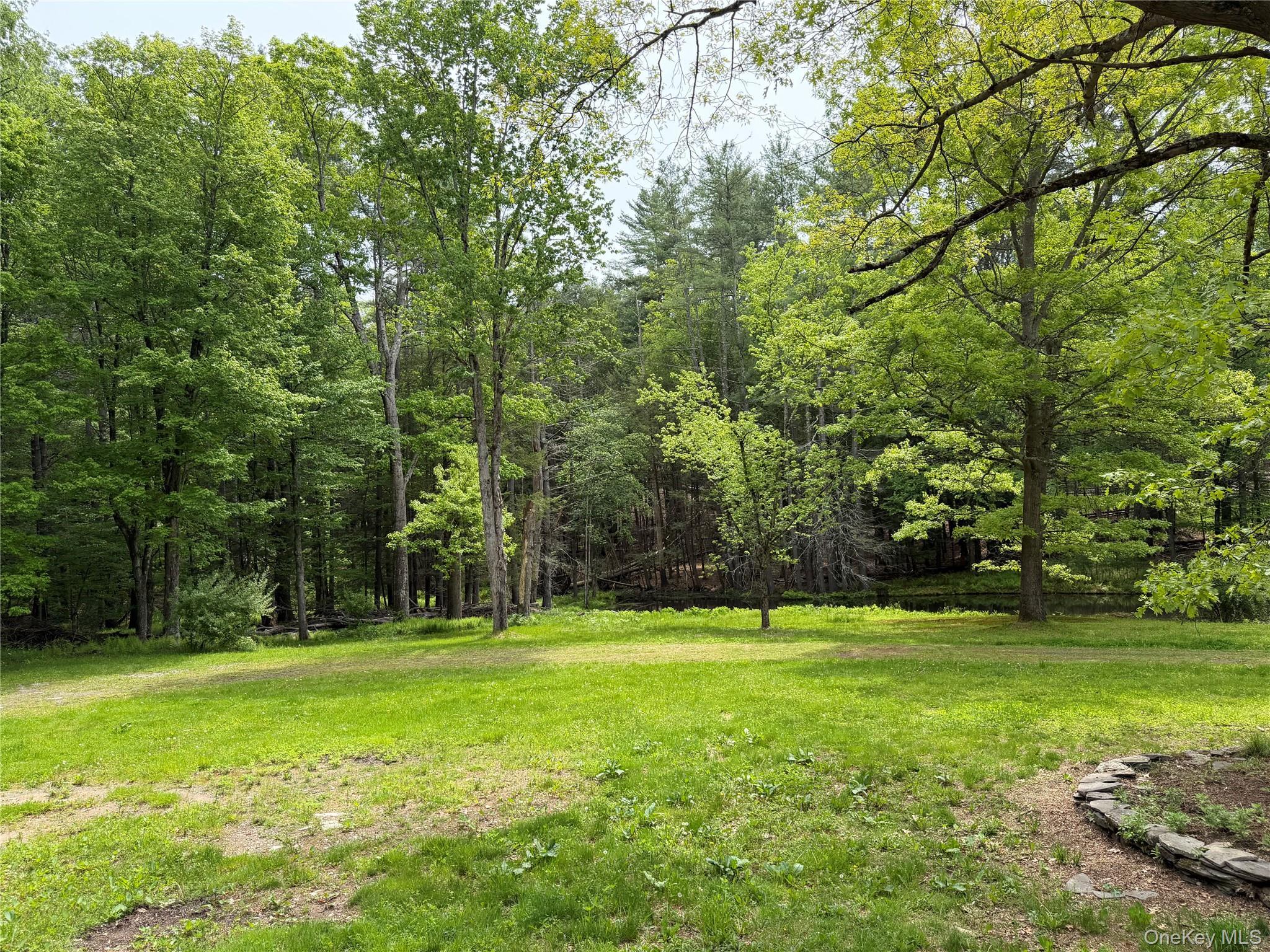 Single Family Hoffmann Street Sullivan County, NY 12741, MLS-991587-38