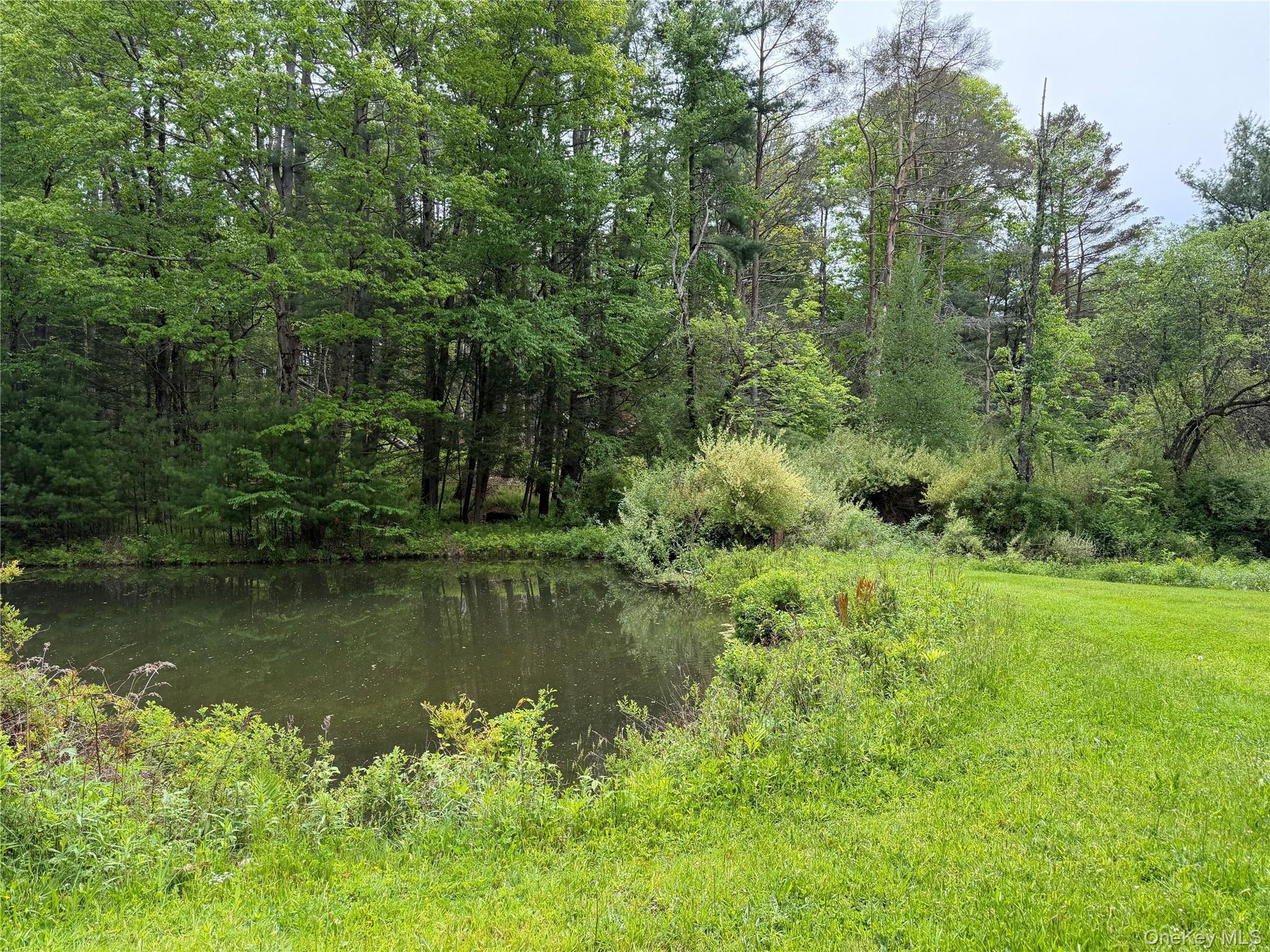 Single Family Hoffmann Street Sullivan County, NY 12741, MLS-991587-4
