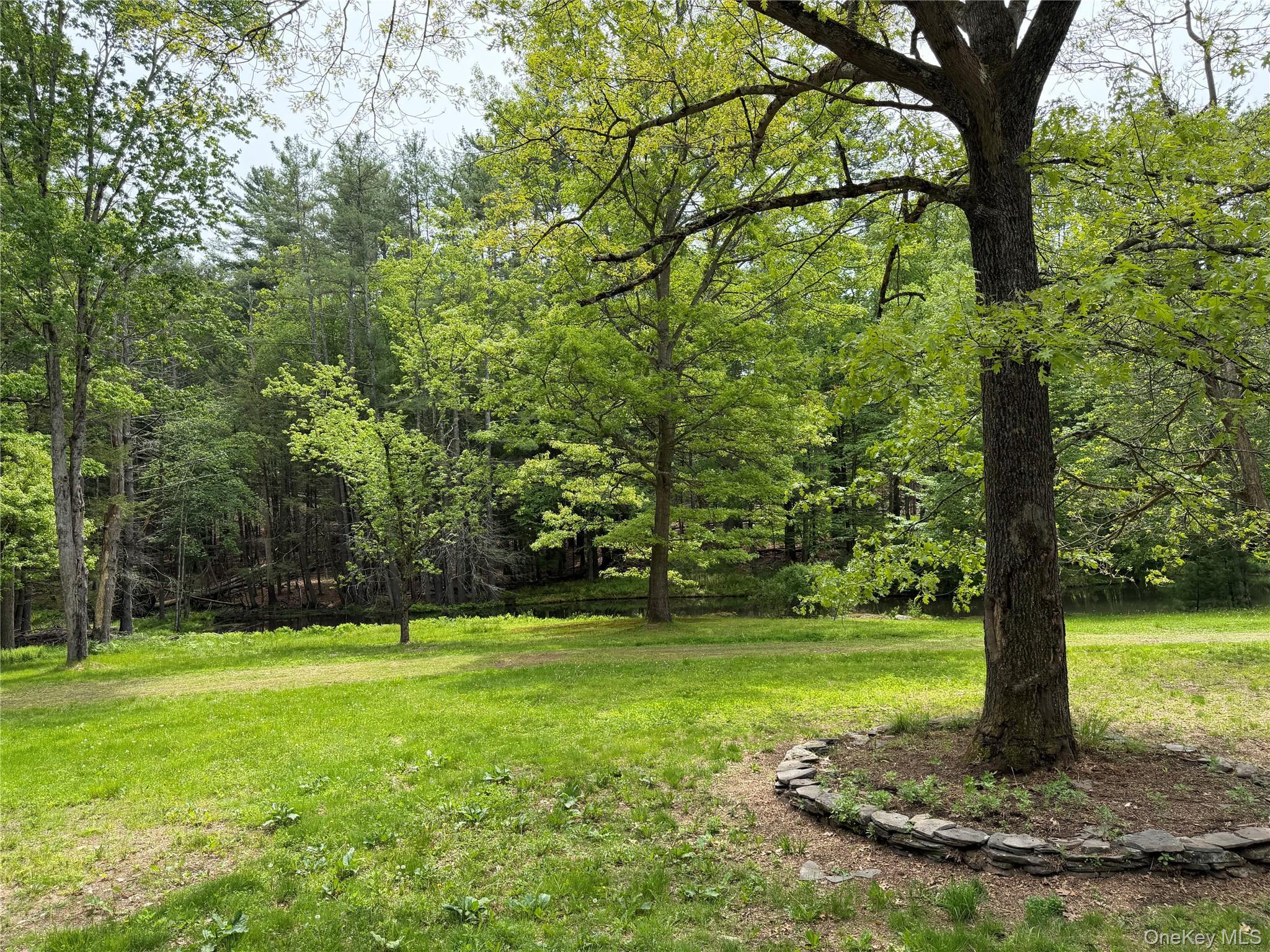 Single Family Hoffmann Street Sullivan County, NY 12741, MLS-991587-40
