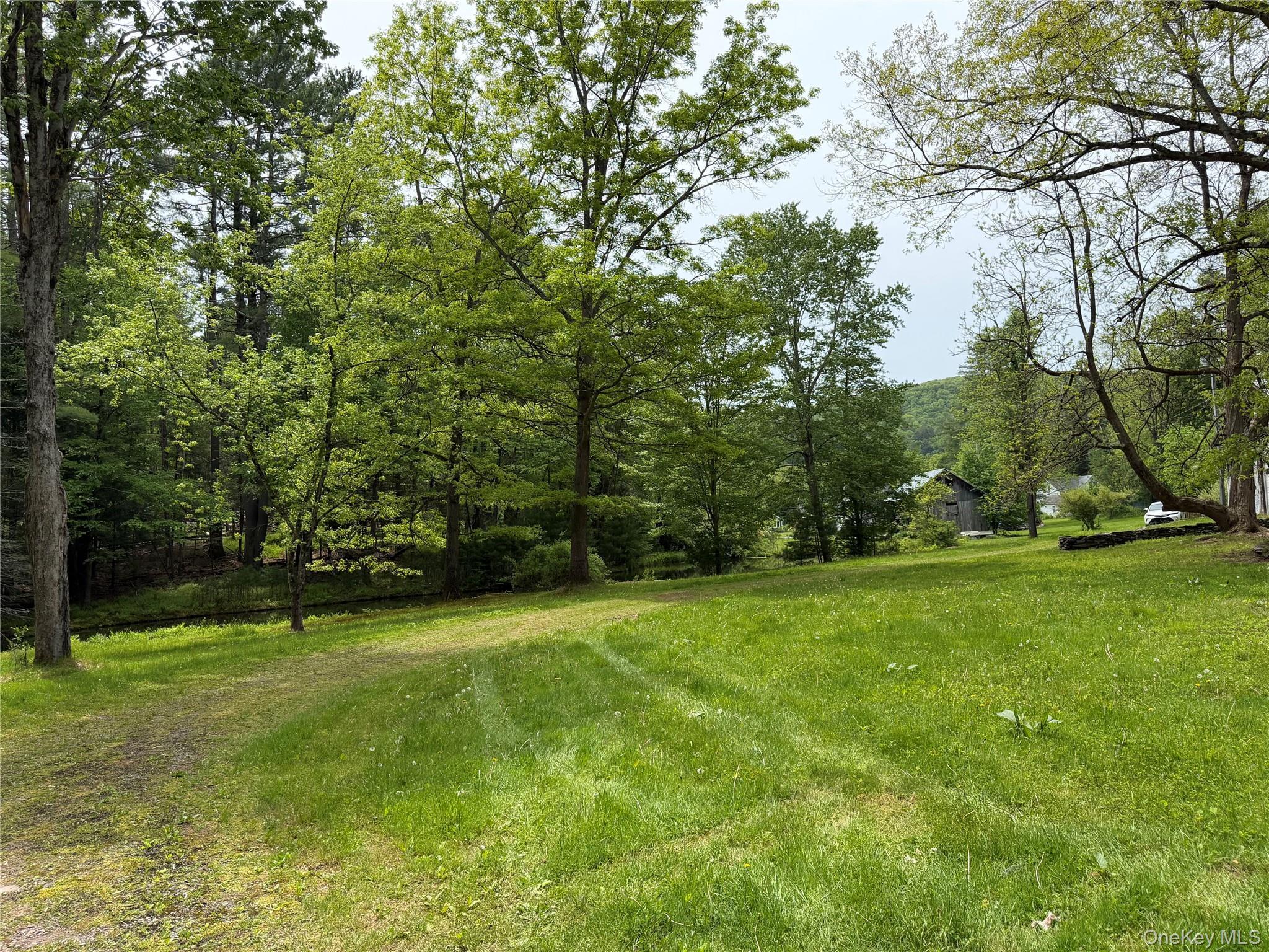 Single Family Hoffmann Street Sullivan County, NY 12741, MLS-991587-41