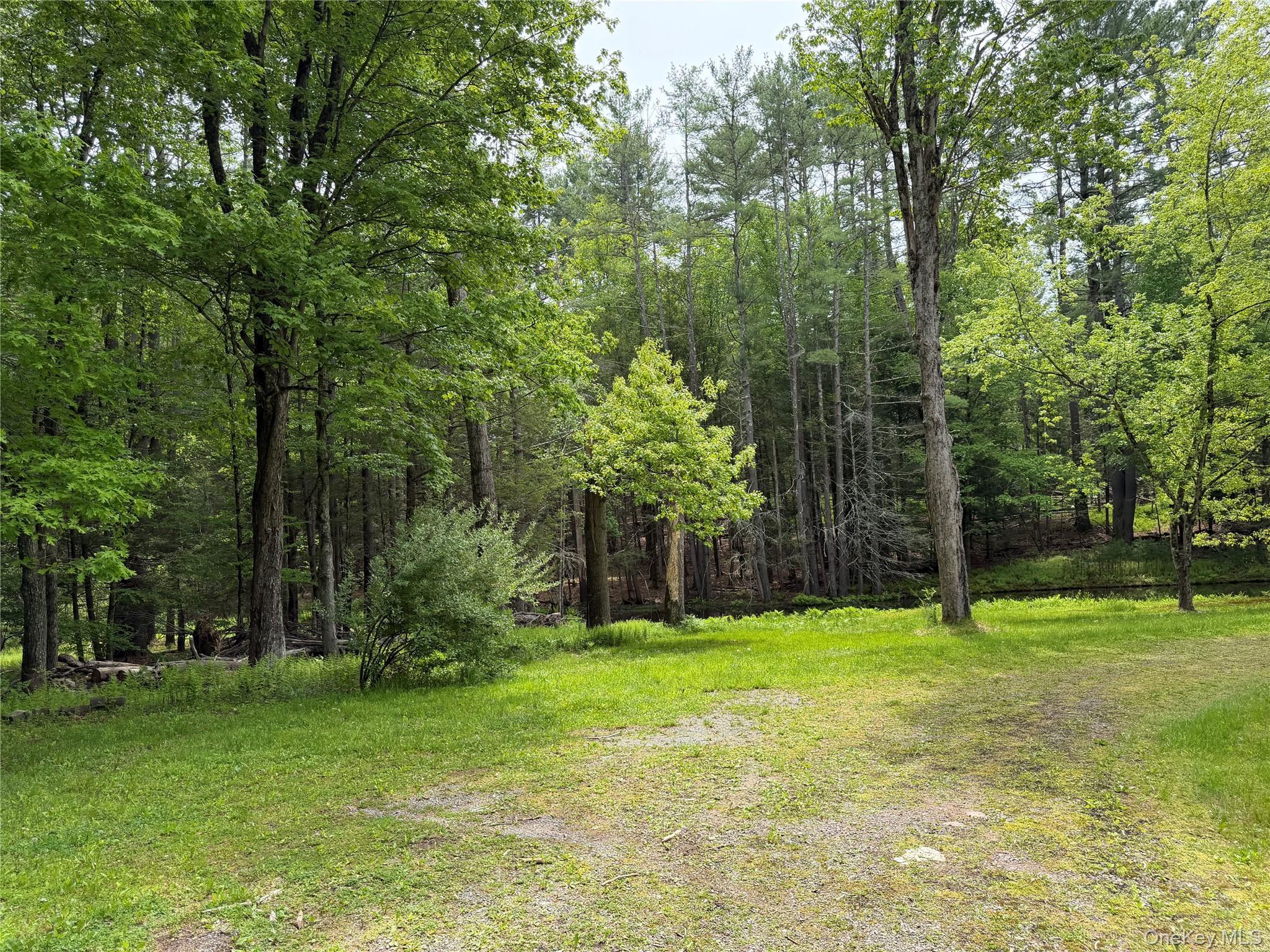 Single Family Hoffmann Street Sullivan County, NY 12741, MLS-991587-42