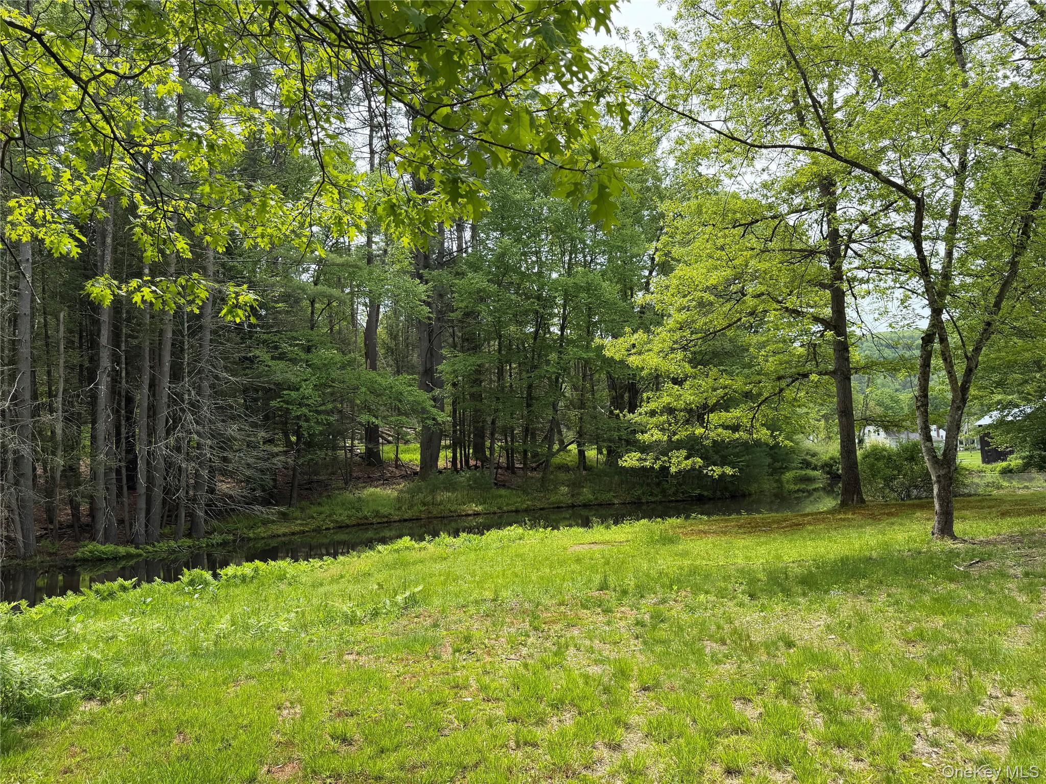 Single Family Hoffmann Street Sullivan County, NY 12741, MLS-991587-43