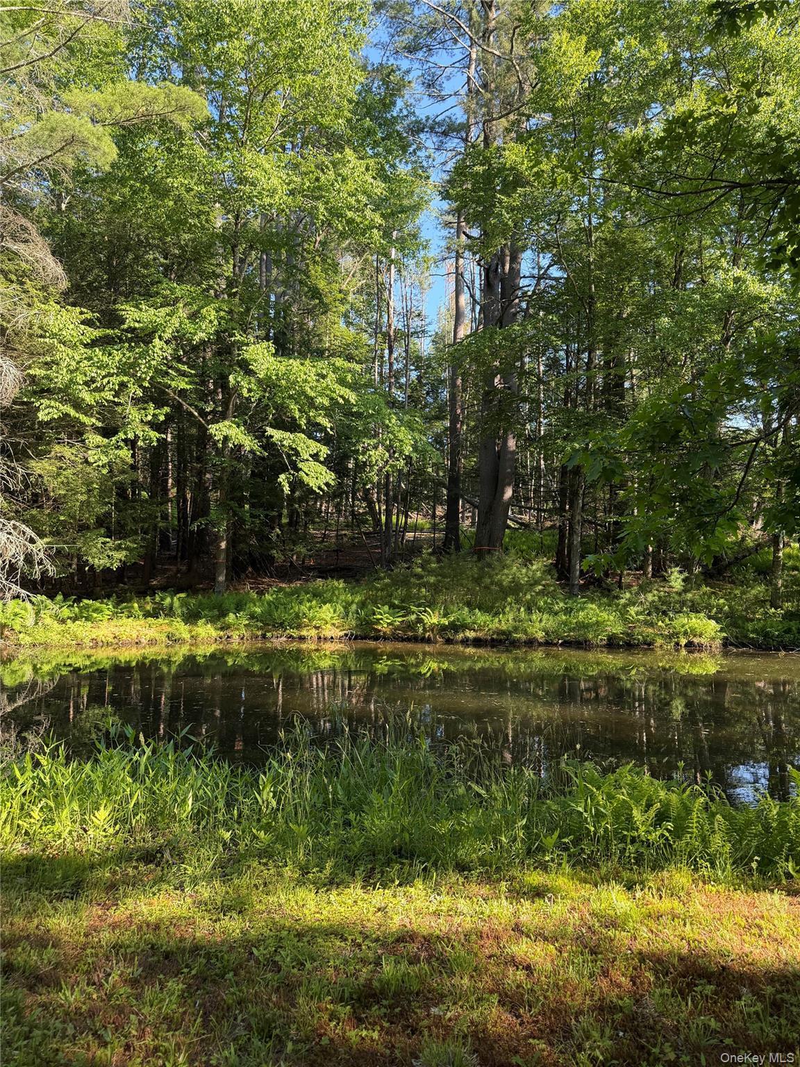 Single Family Hoffmann Street Sullivan County, NY 12741, MLS-991587-48