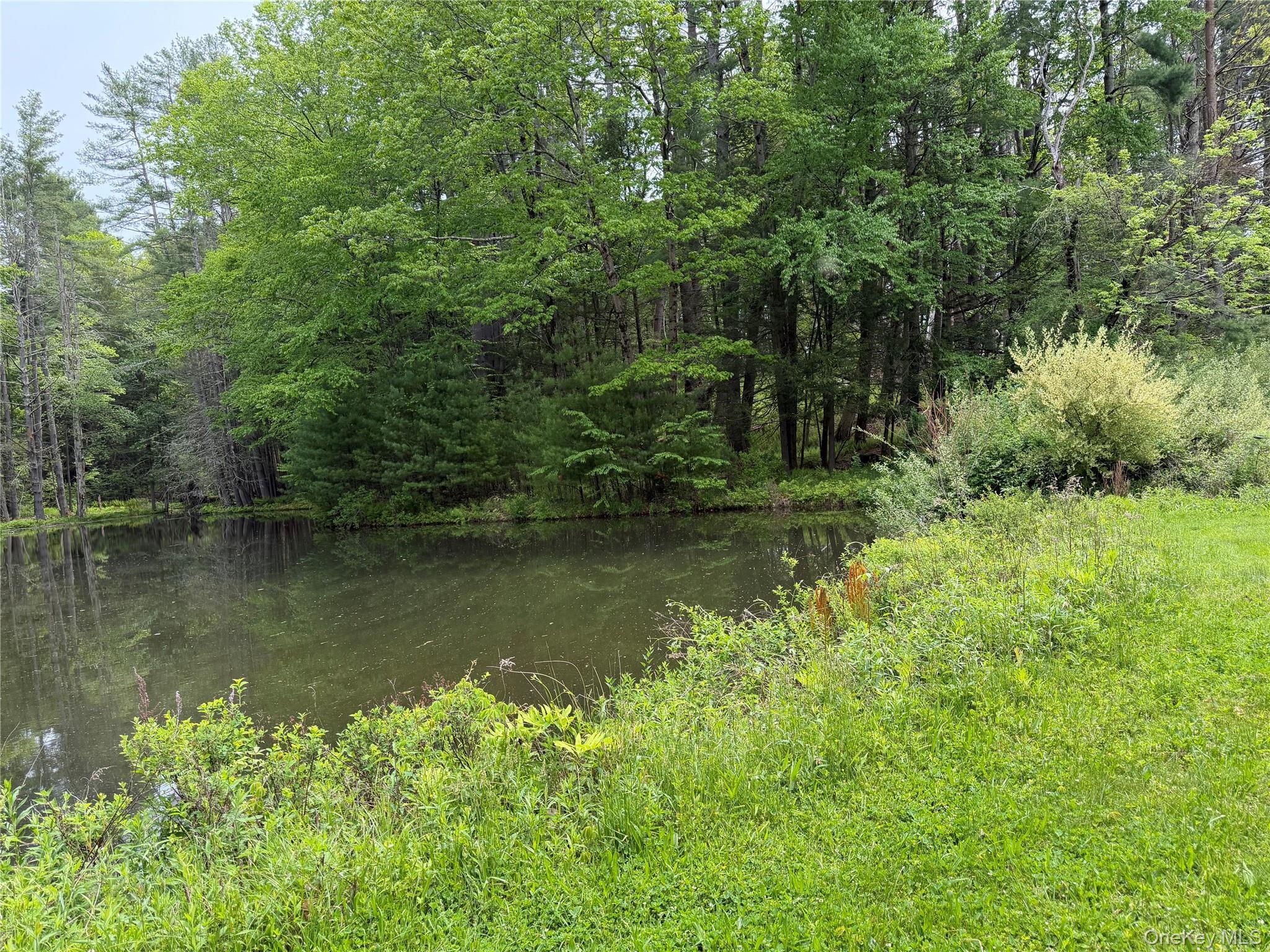 Single Family Hoffmann Street Sullivan County, NY 12741, MLS-991587-5