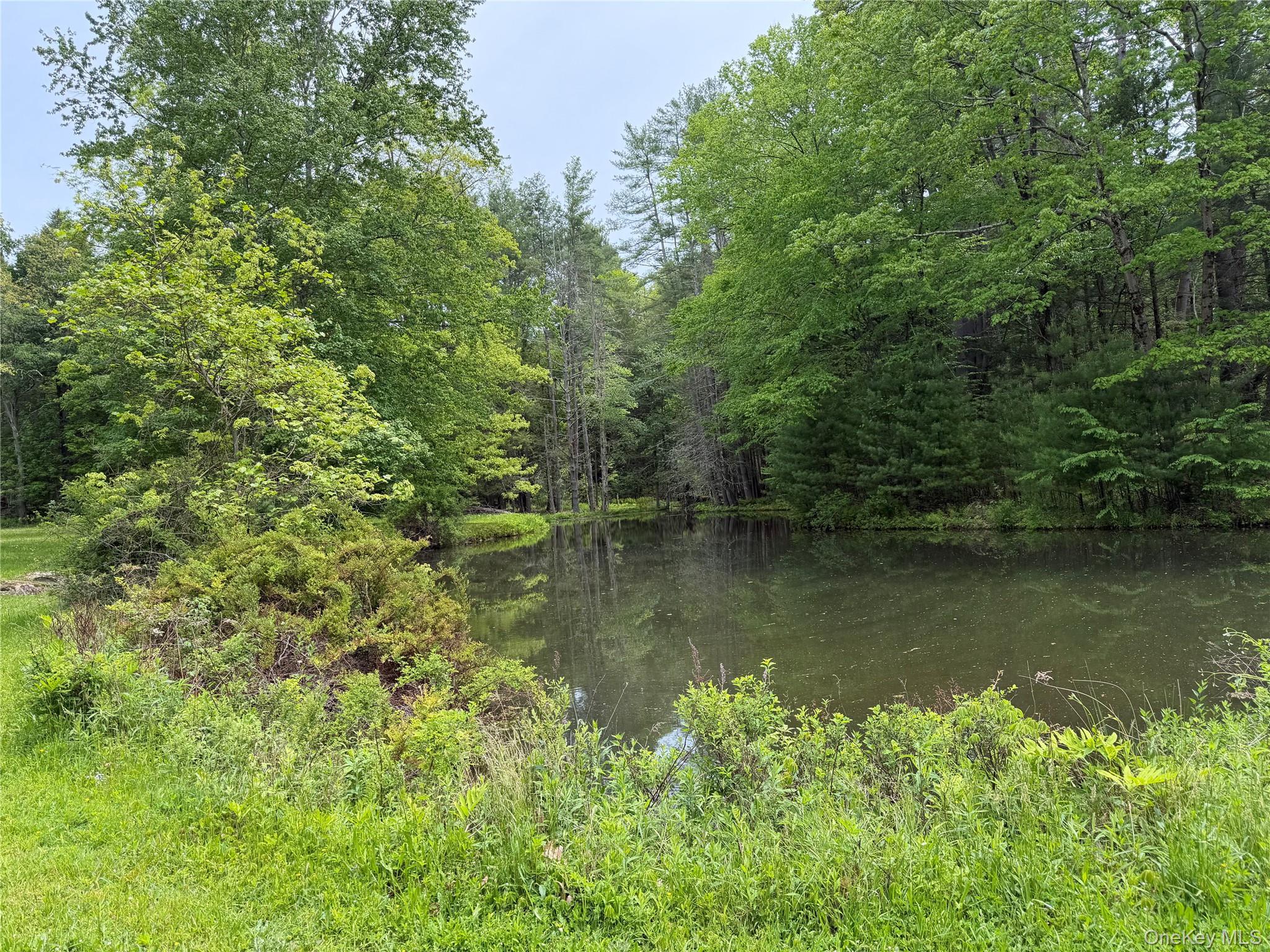 Single Family Hoffmann Street Sullivan County, NY 12741, MLS-991587-6
