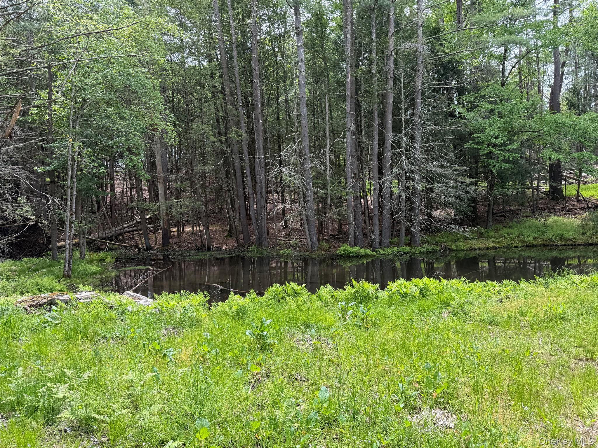 Single Family Hoffmann Street Sullivan County, NY 12741, MLS-991587-7