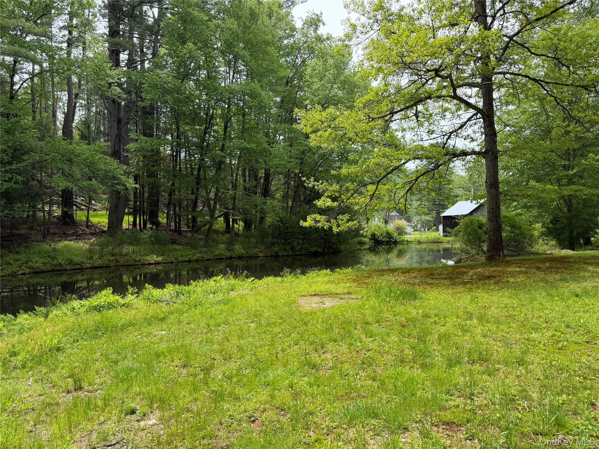 Single Family Hoffmann Street Sullivan County, NY 12741, MLS-991587-8