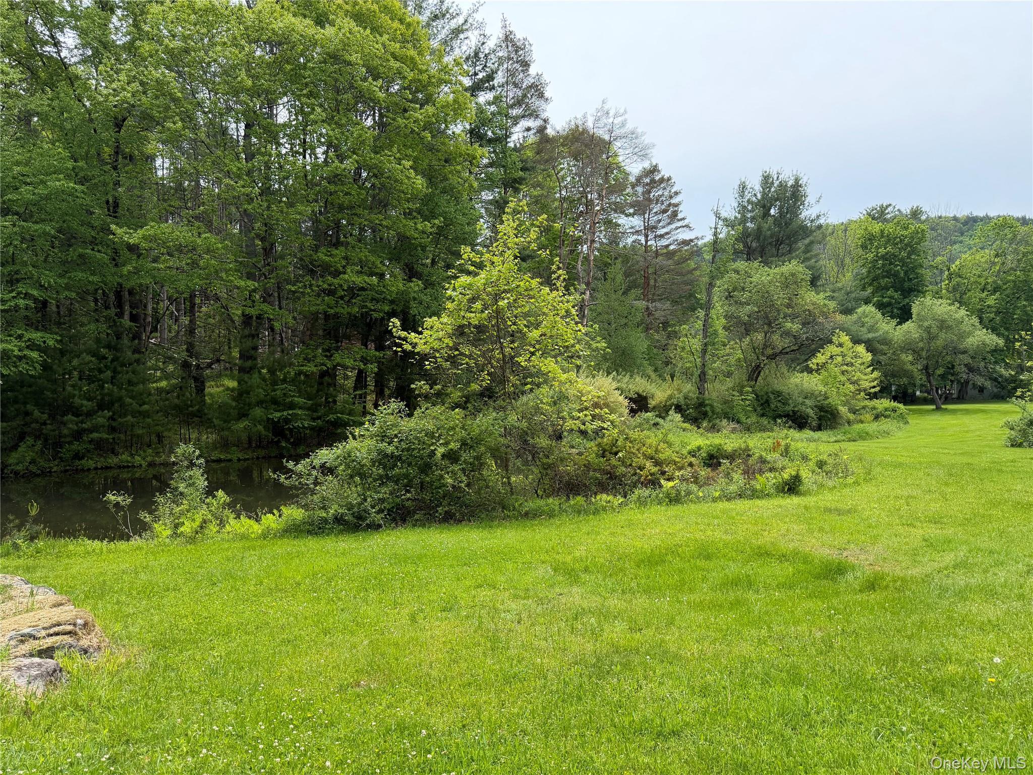 Single Family Hoffmann Street Sullivan County, NY 12741, MLS-991587-9