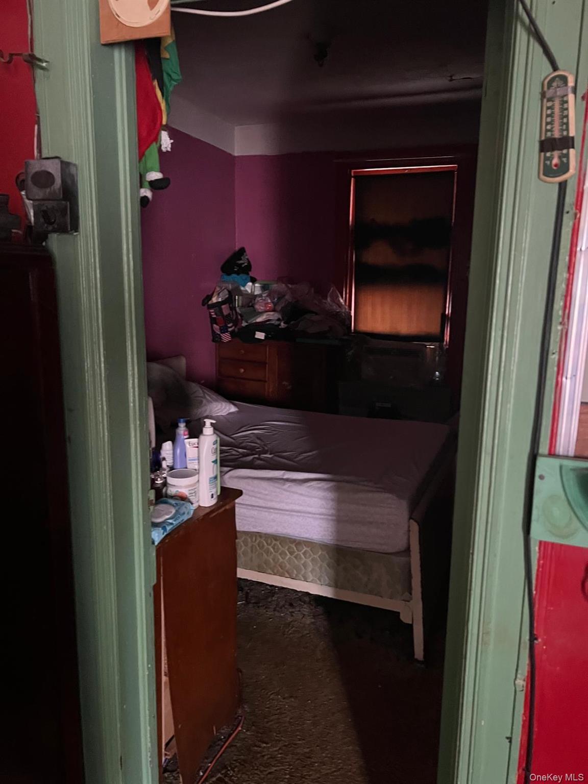 Single Family Midwood  Brooklyn, NY 11225, MLS-991600-5