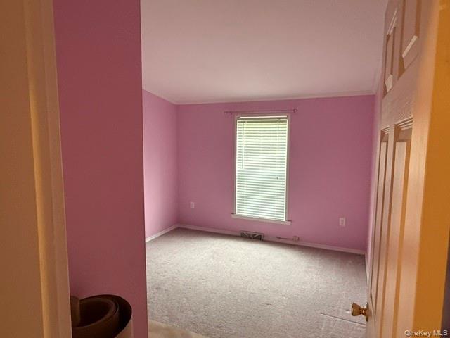 Single Family Delray Circle Dutchess County, NY 12603, MLS-991634-10